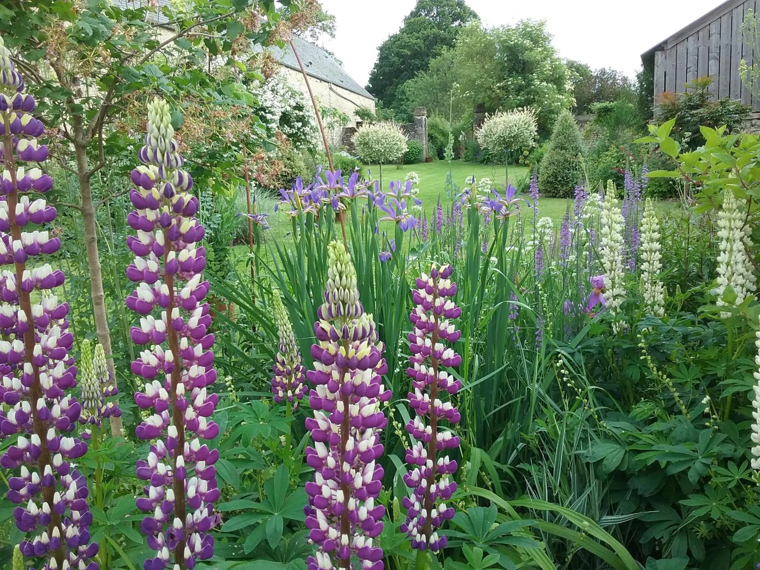 Garden in Chambre d'hôte le 18-20
