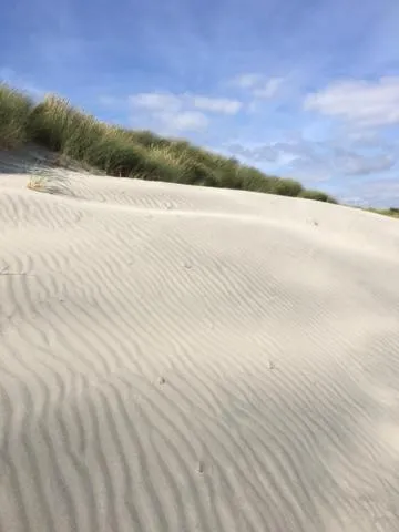 Beach in Linden House