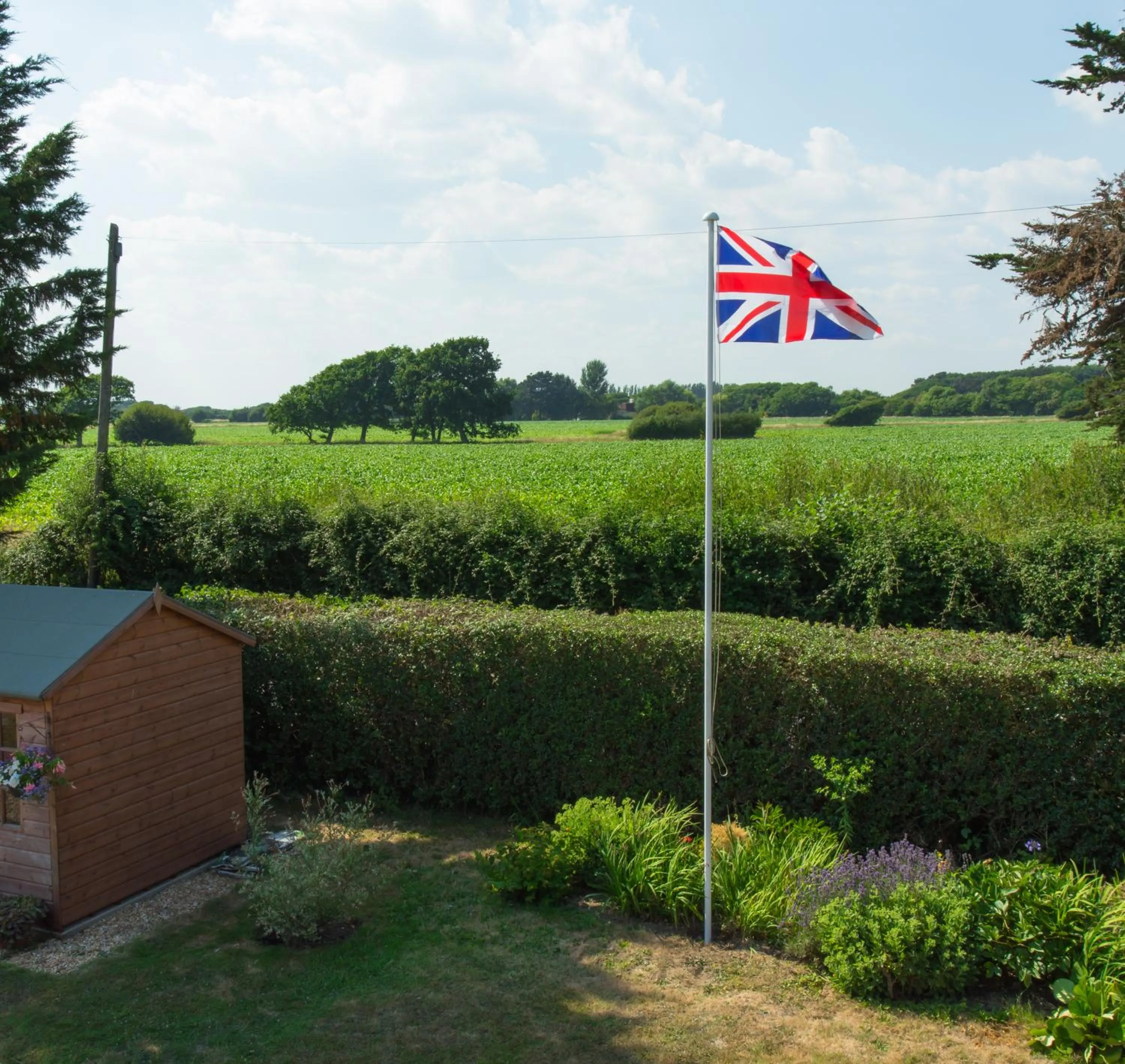Natural landscape in Linden House