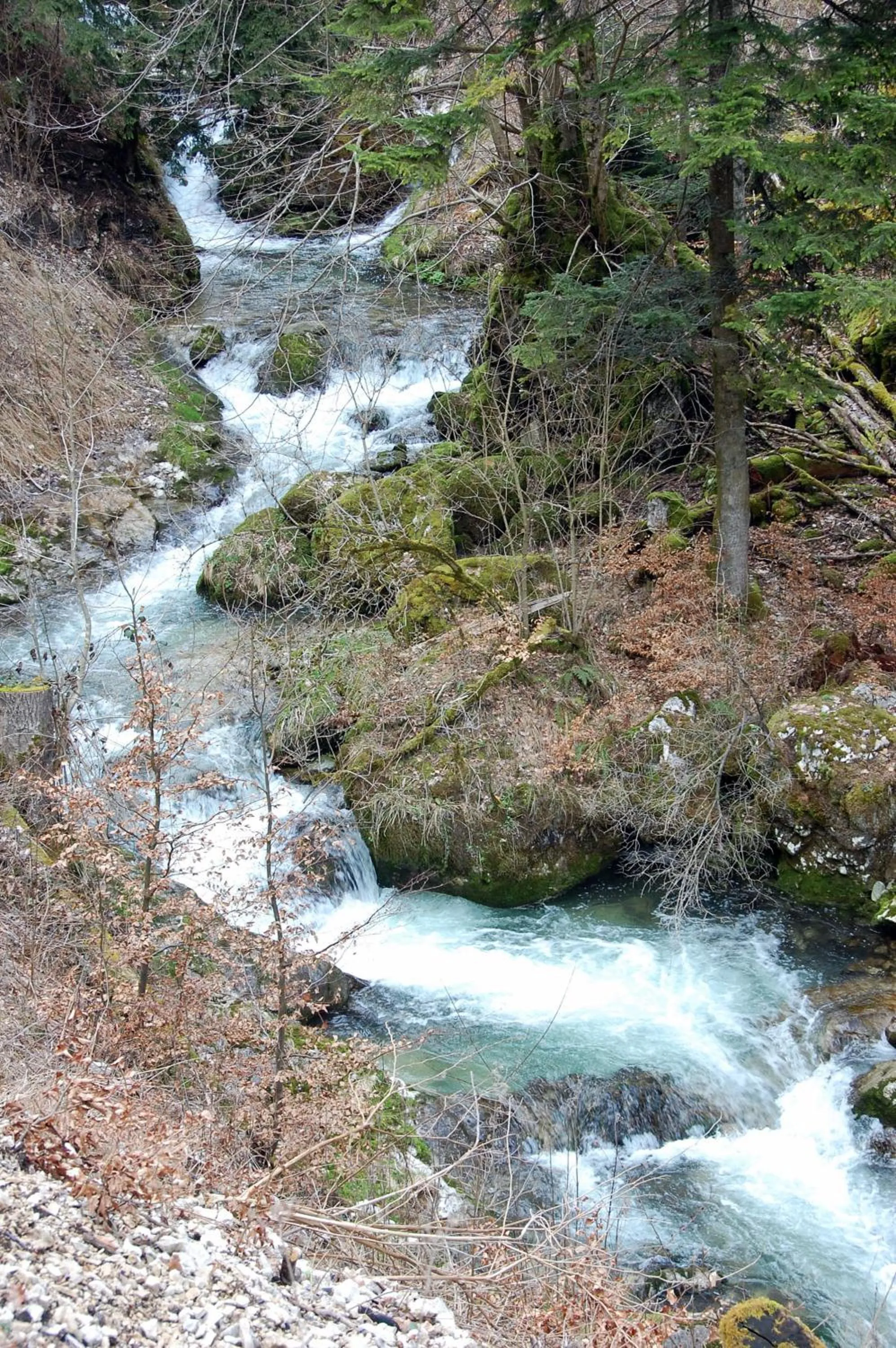 Hiking in Hôtel de l'ours