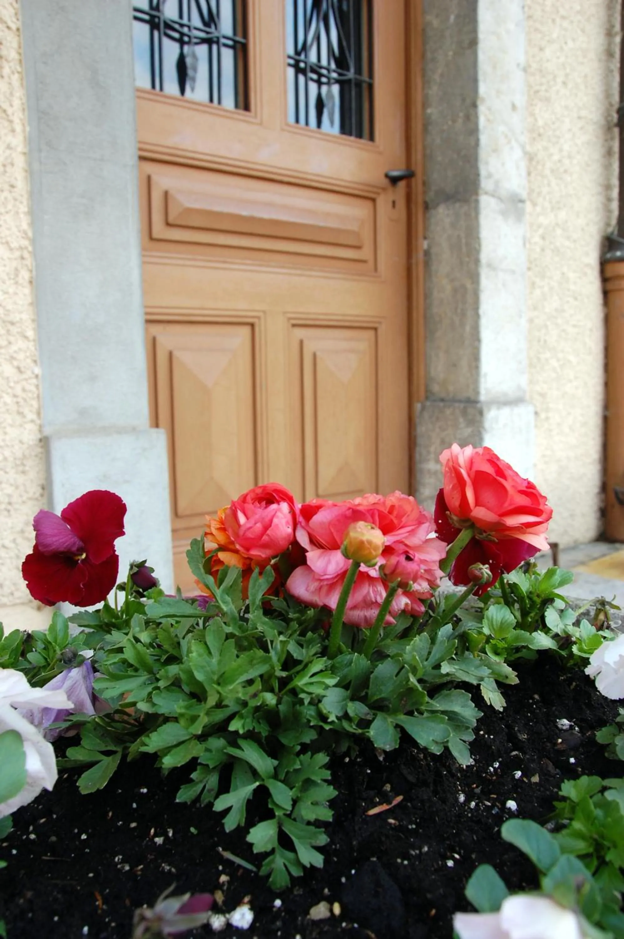 Garden in Hôtel de l'ours