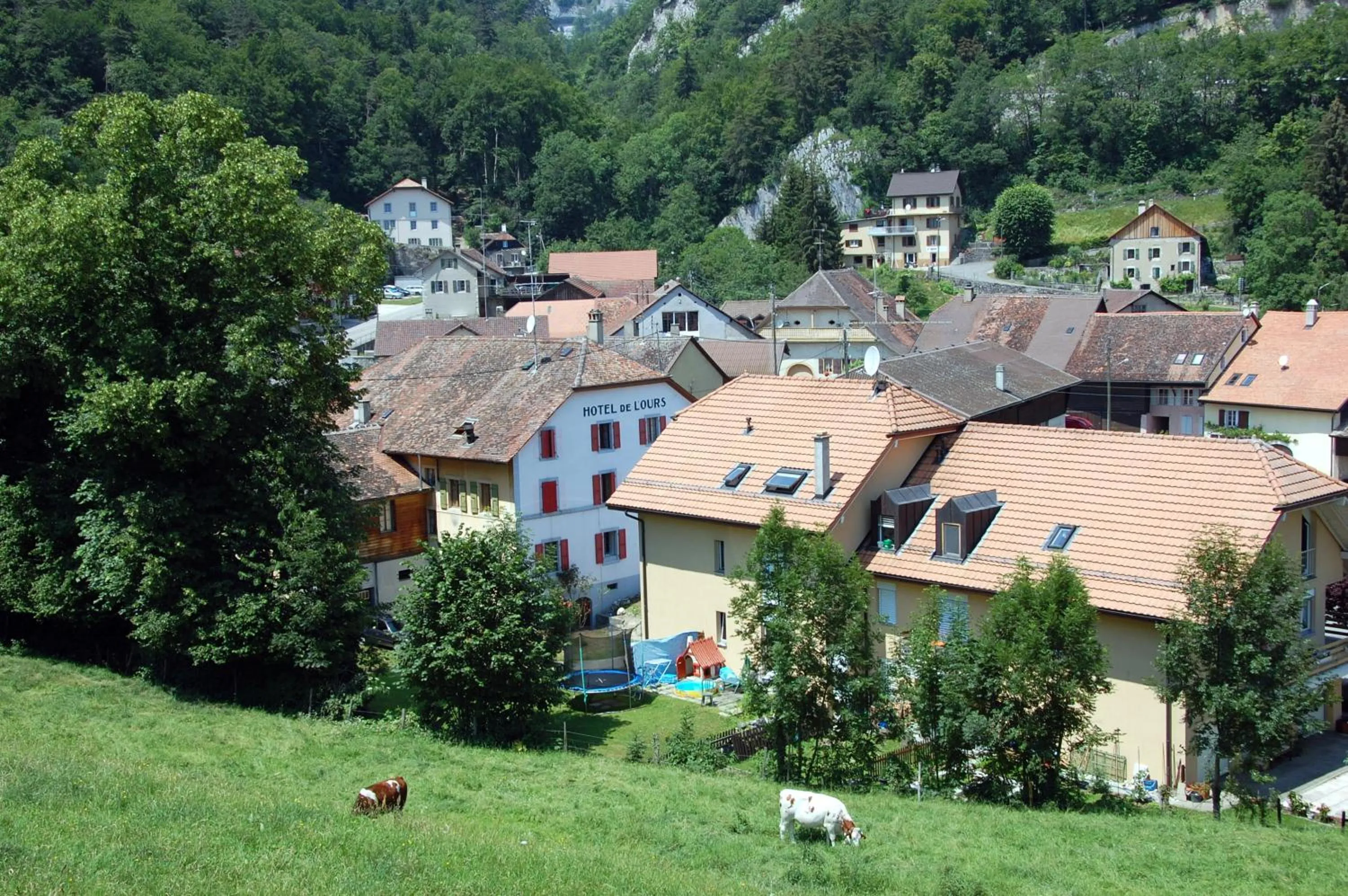 Mountain view in Hôtel de l'ours