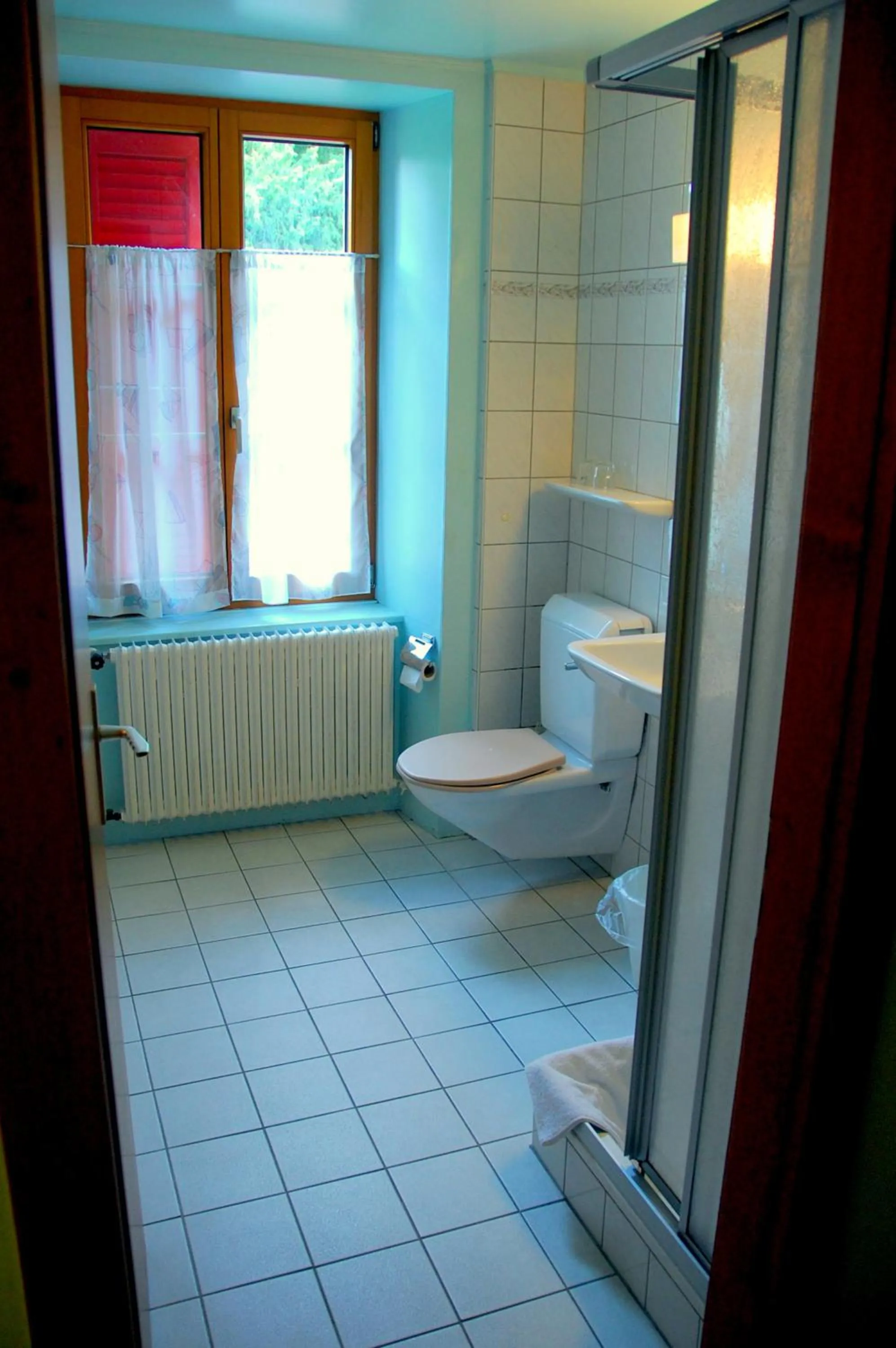 Shower in Hôtel de l'ours