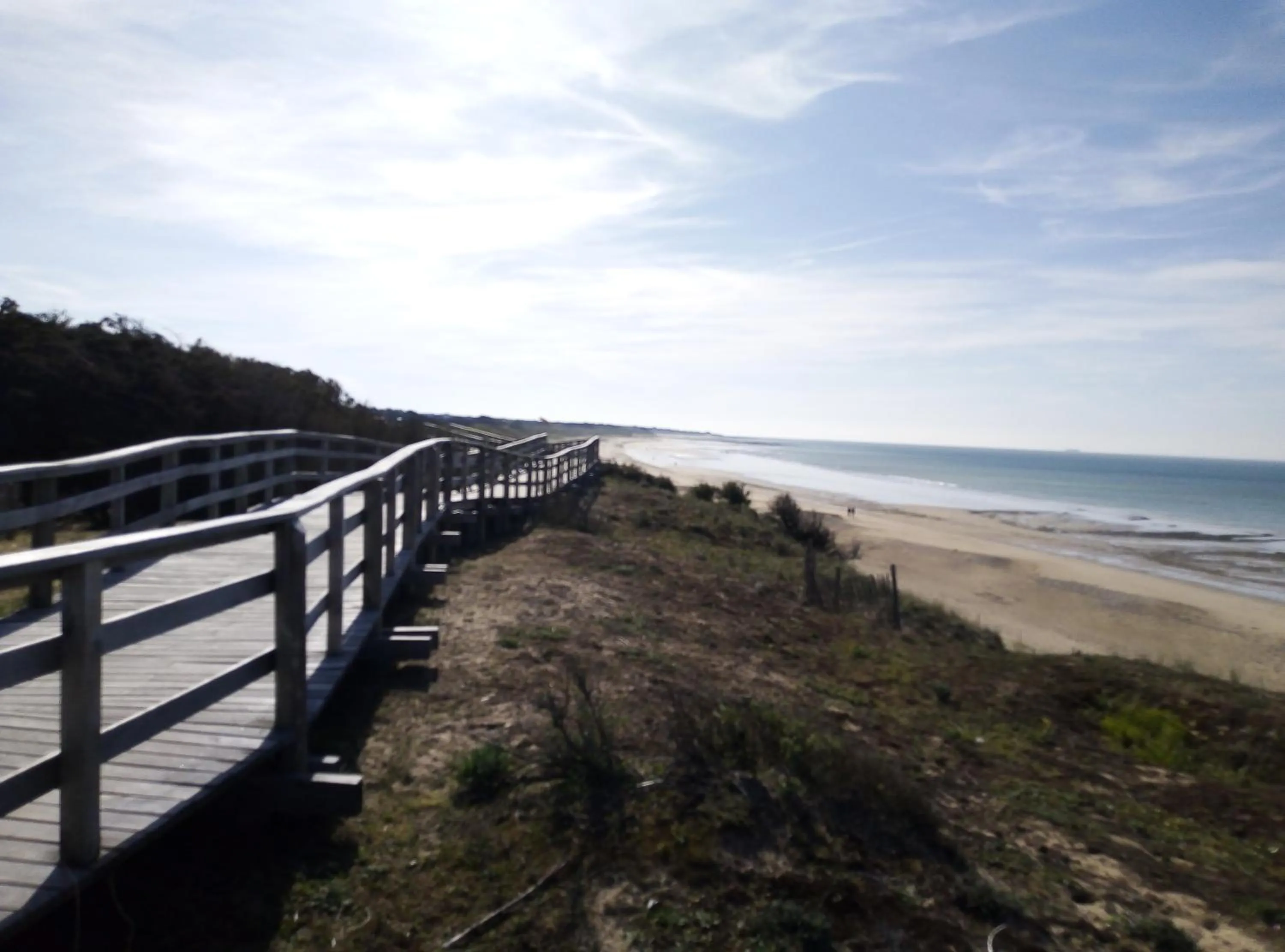 Beach in Les Bois Flottés en Ré