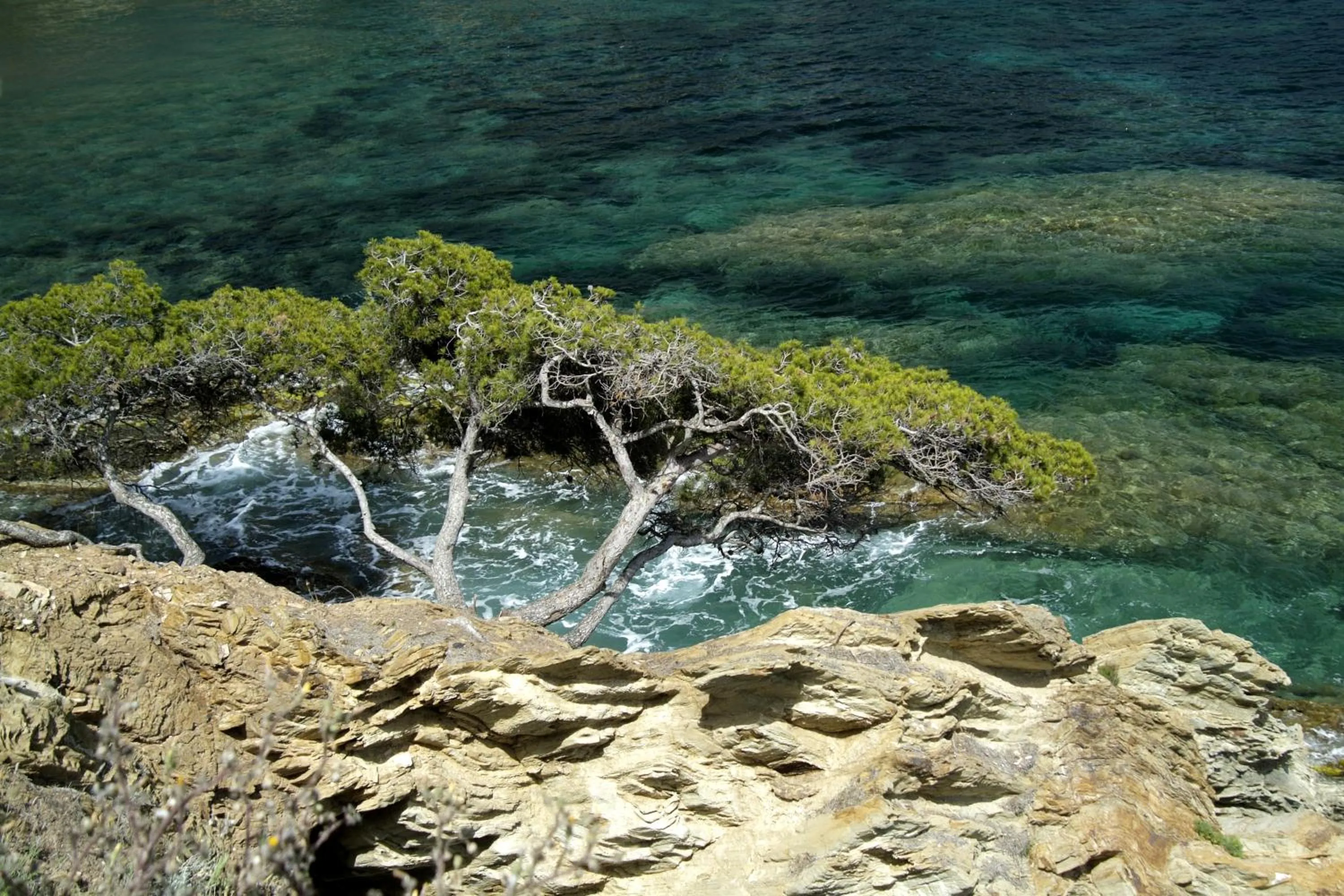 Natural landscape in Residence Hyeres Parc - maeva Home