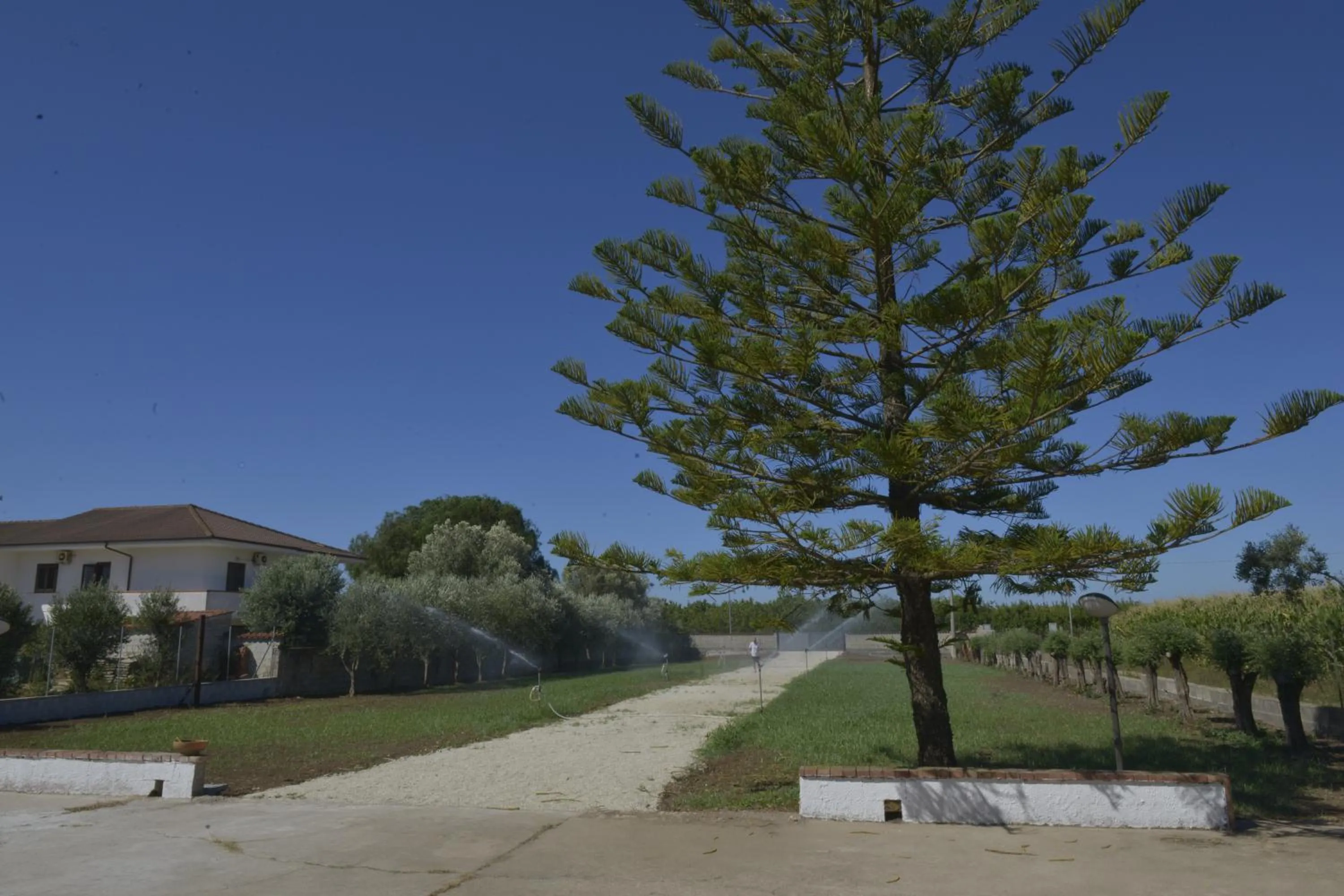 Garden view in Villa Theresa