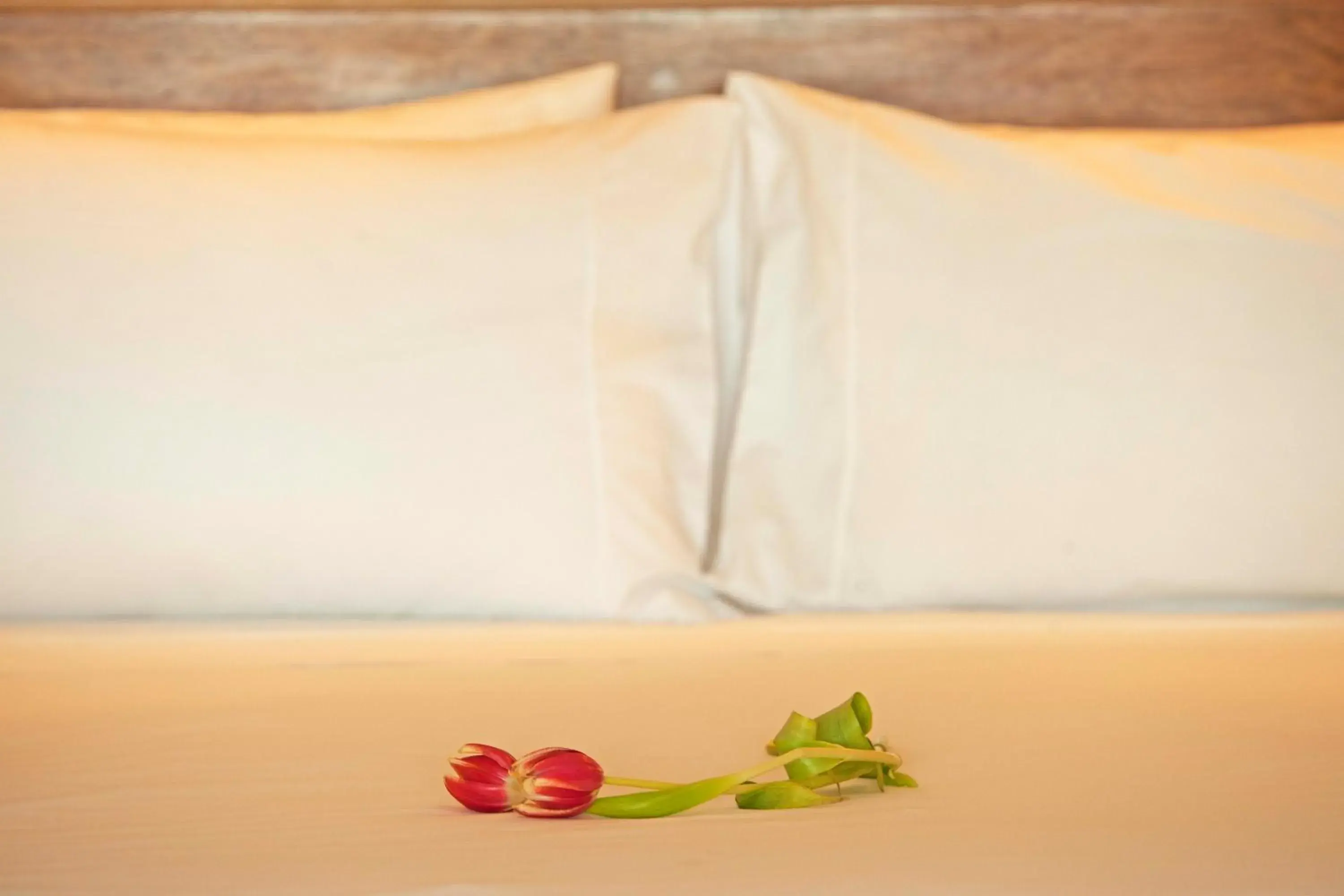 Bed in La Hacienda Bahia Paracas Bed in La Hacienda Bahia Paracas