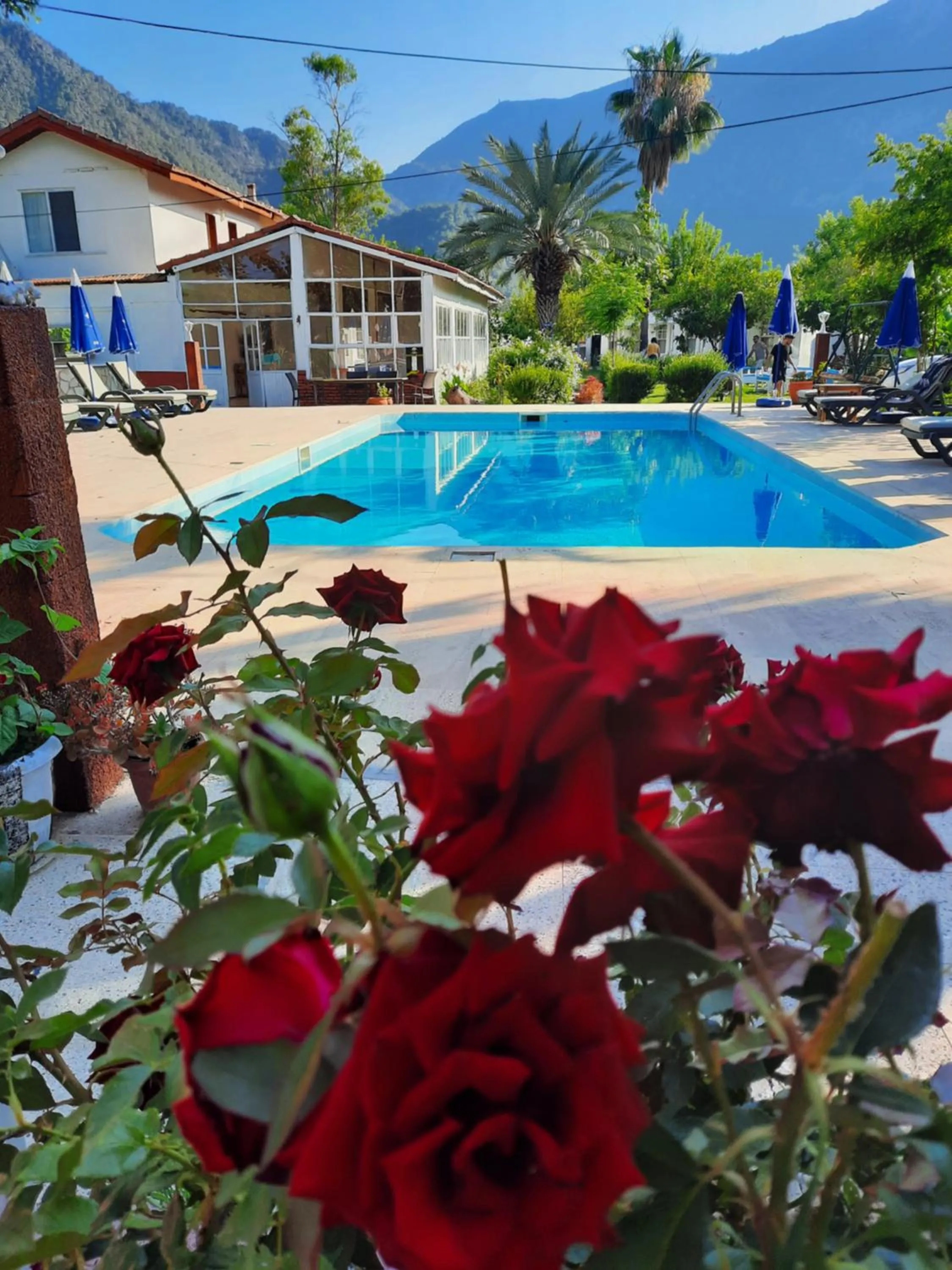Swimming pool in Adrasan Maviay Hotel