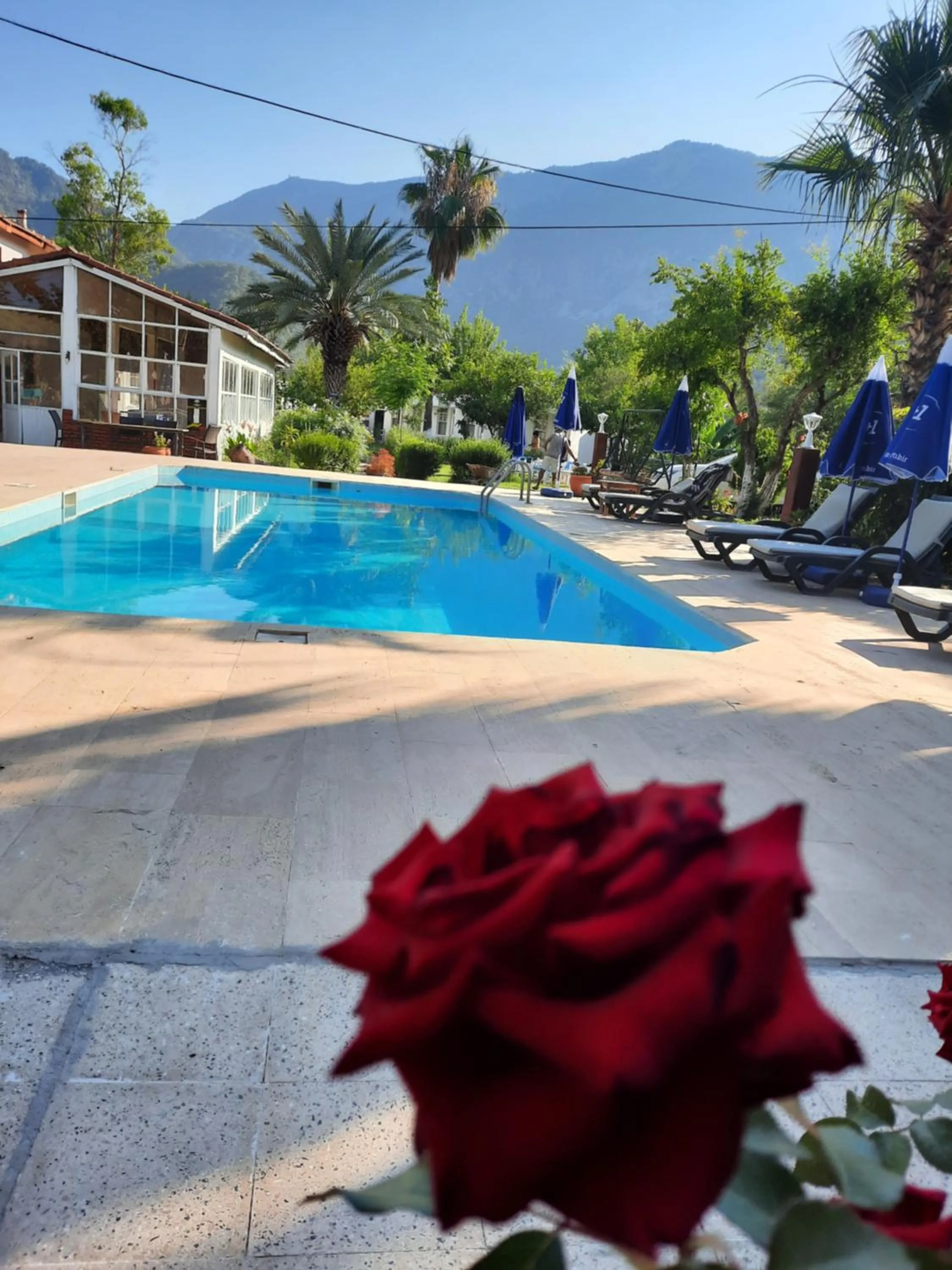Swimming pool in Adrasan Maviay Hotel