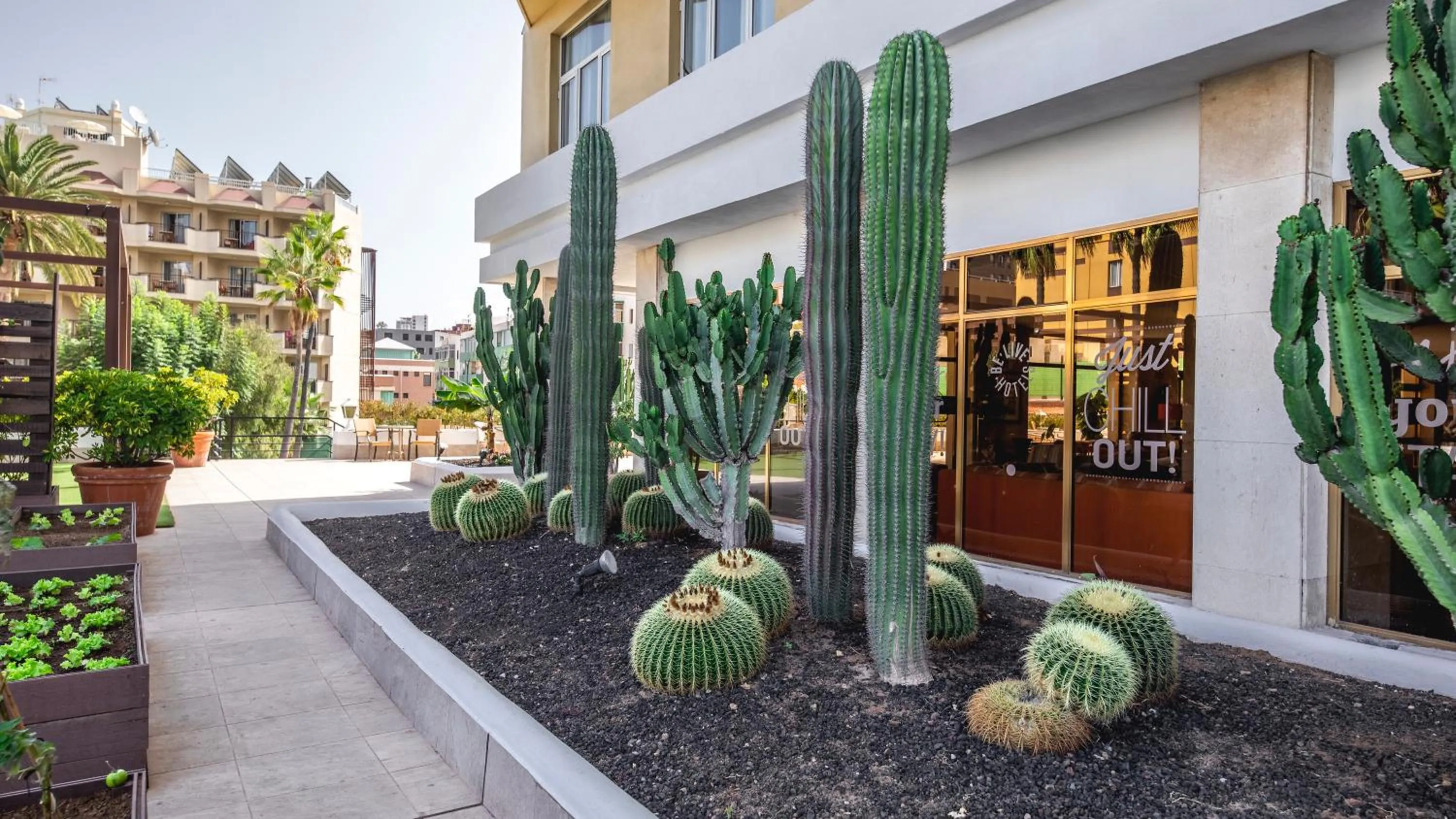 Garden in Be Live Adults Only Tenerife