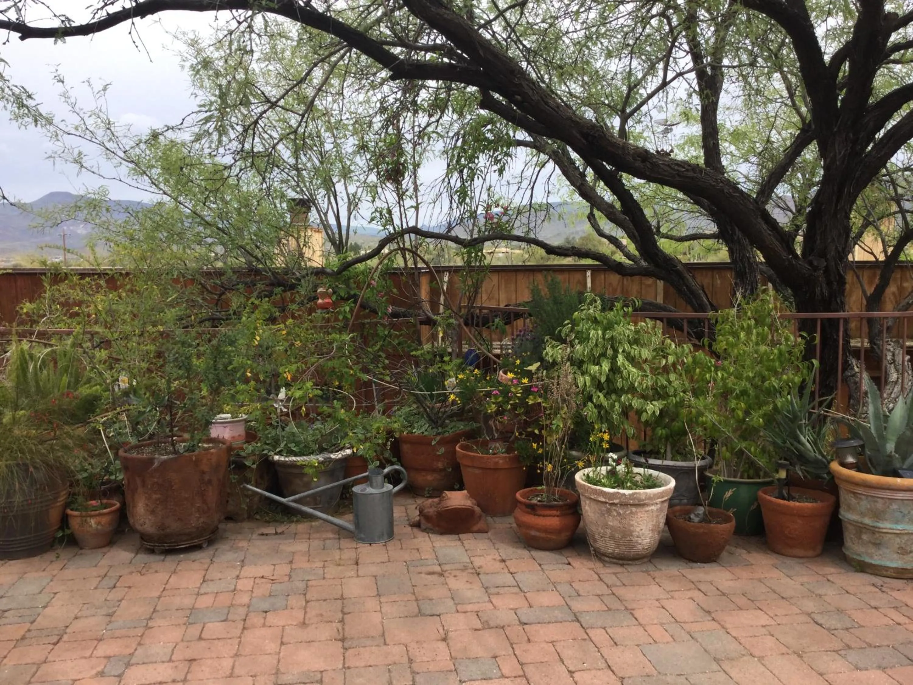 Patio in Spur Cross Inn