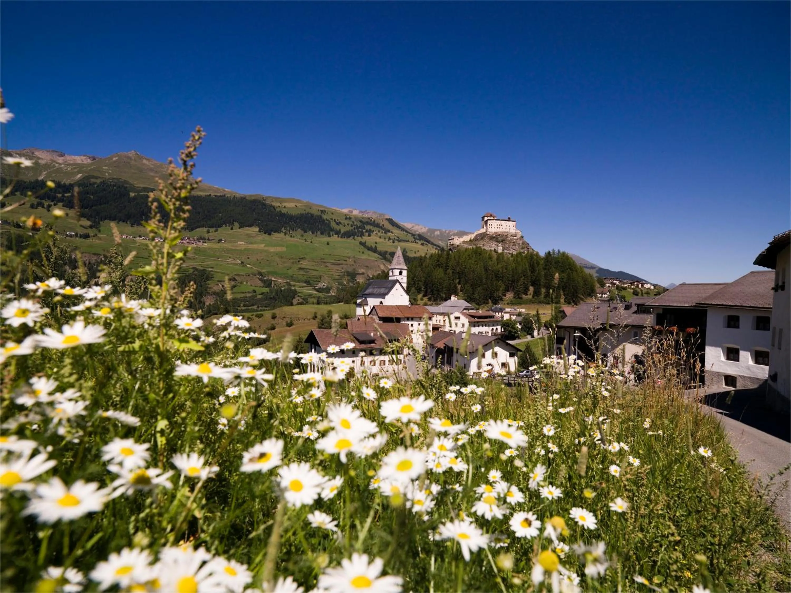 Summer in Hotel Filli