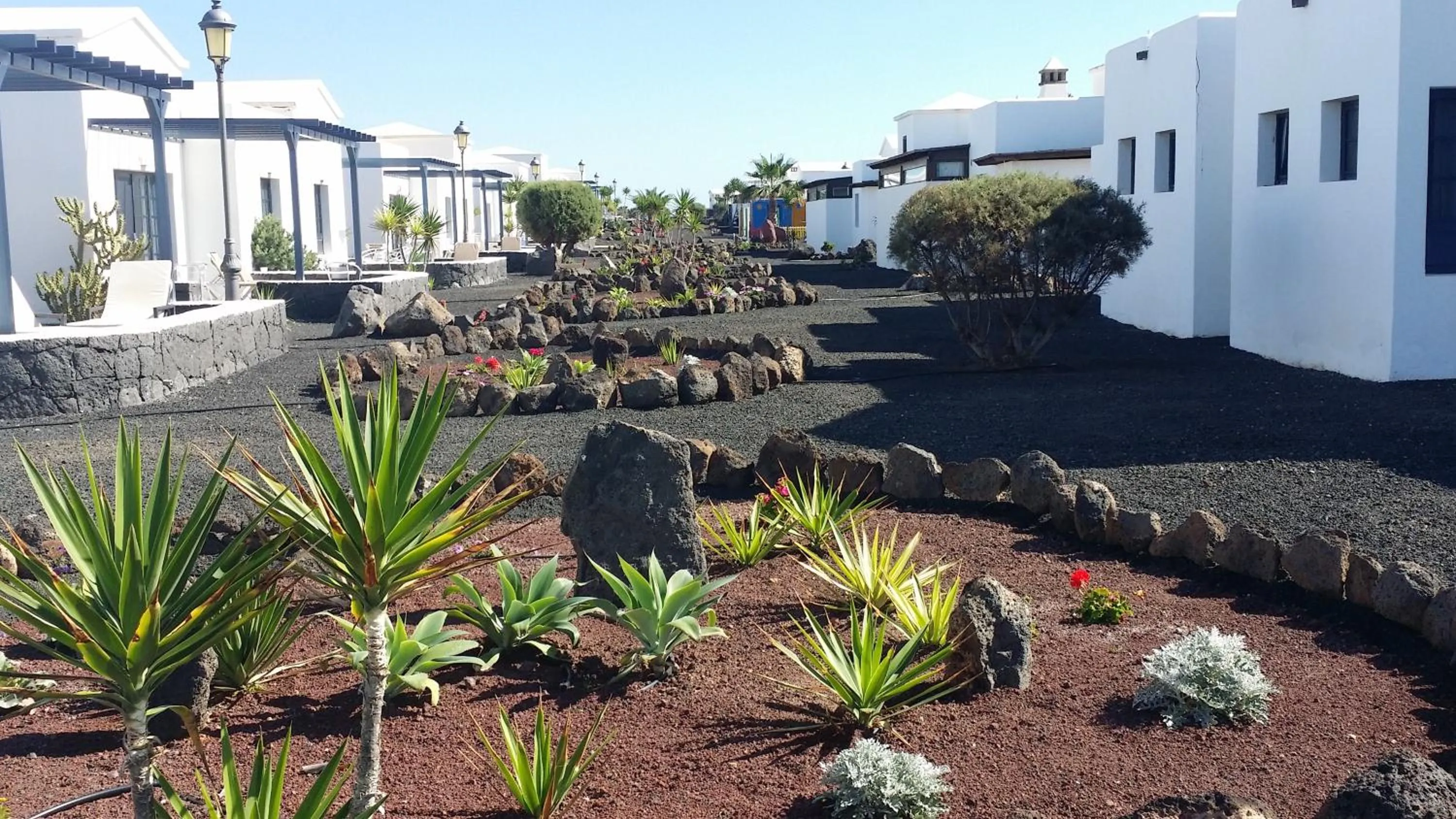 Garden, Property Building in VIK Coral Beach