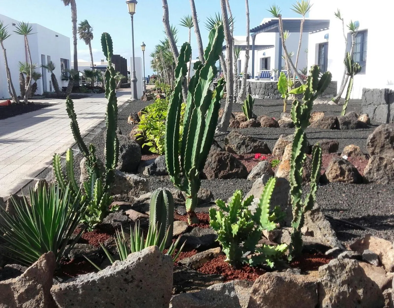 Garden view, Garden in VIK Coral Beach