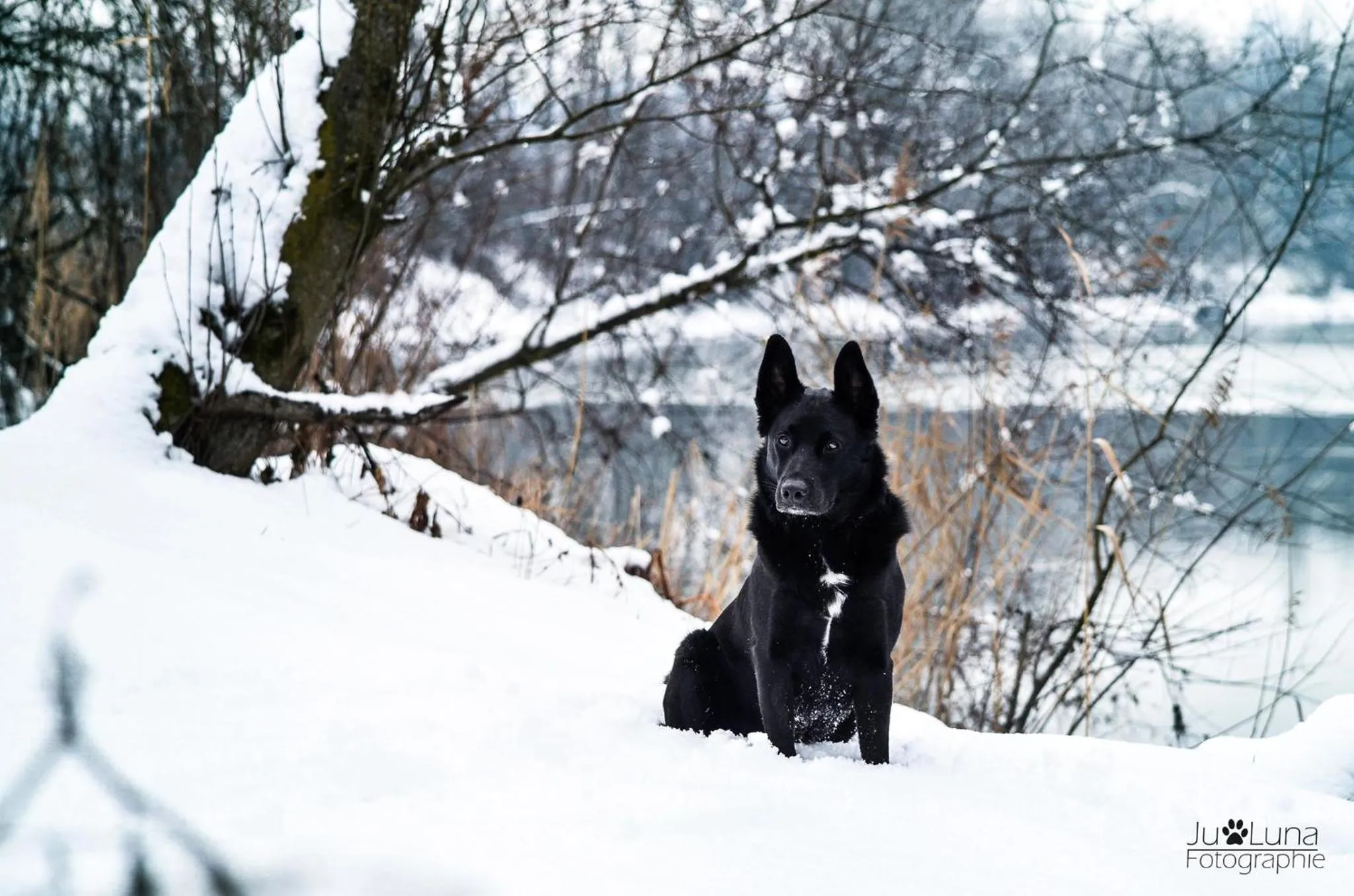 Natural landscape in Active Hotel Sonne