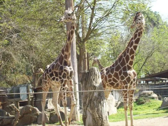 Day in Summerfield Inn Fresno Yosemite