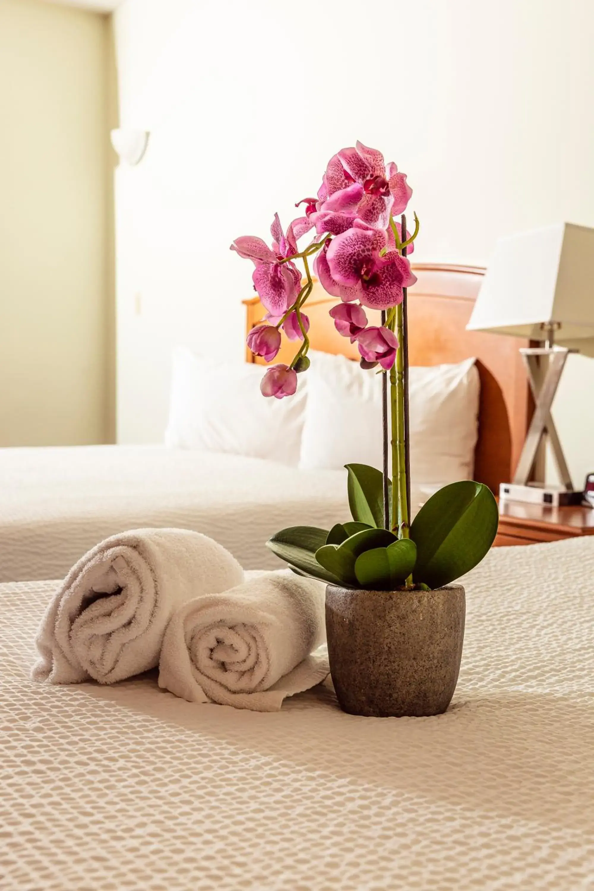 Bed in Service Plus Inns and Suites Calgary Bed in Service Plus Inns and Suites Calgary