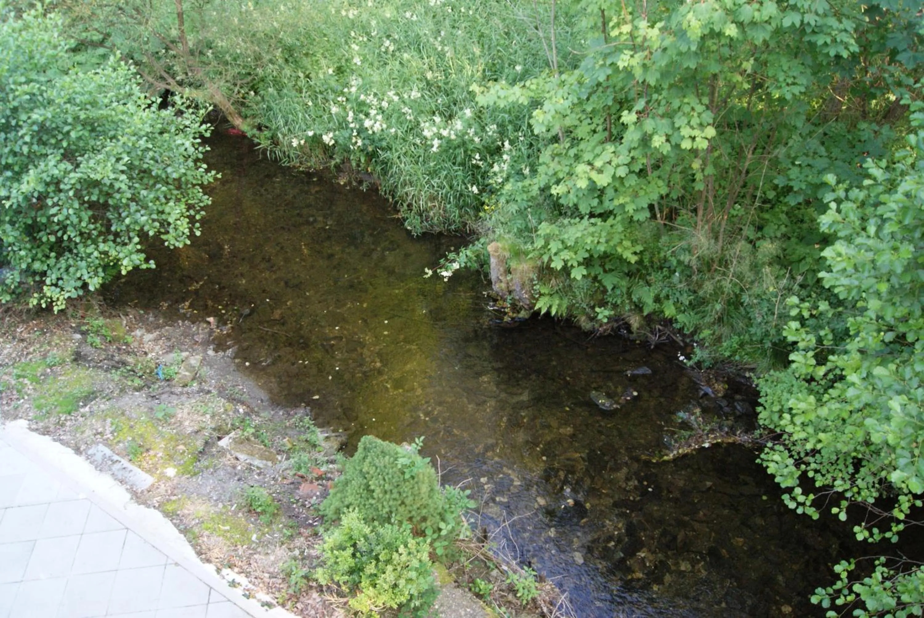 Garden view in Ferienwohnungen TalBach