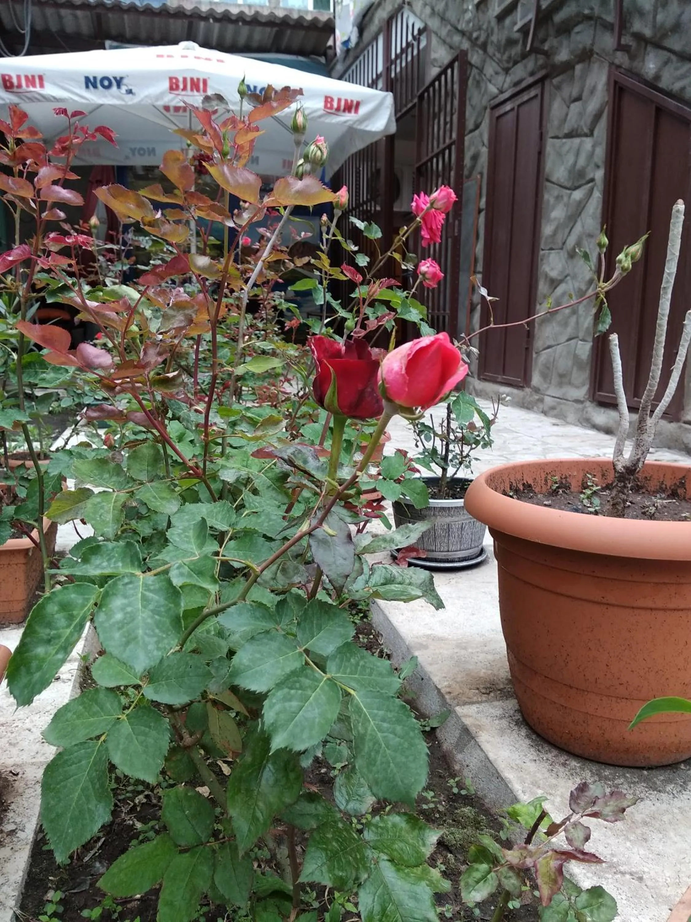 Facade/entrance in Komitas Avenue Guest House
