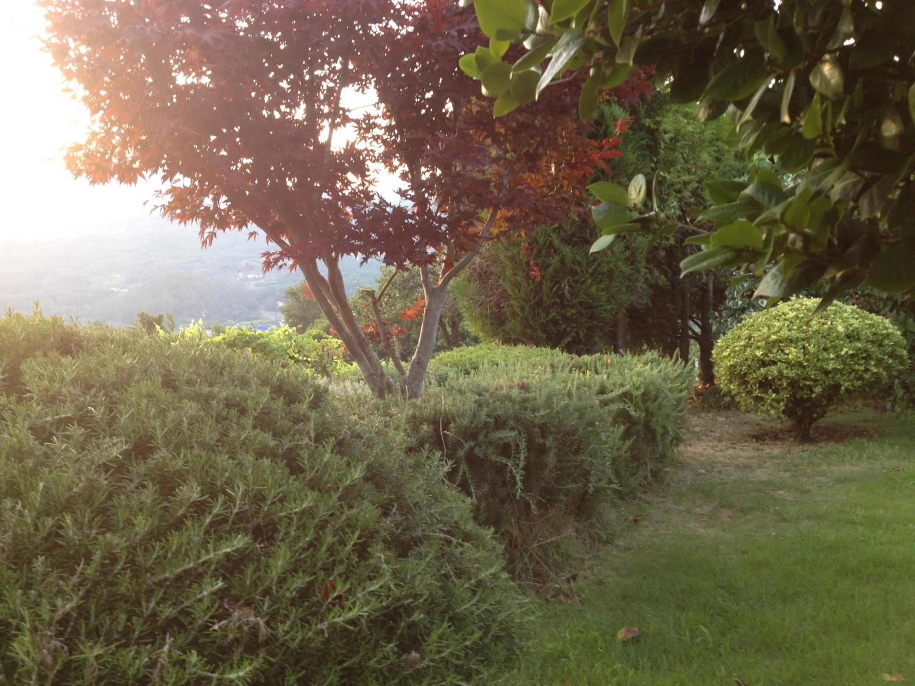 Garden in Quinta da Calçada