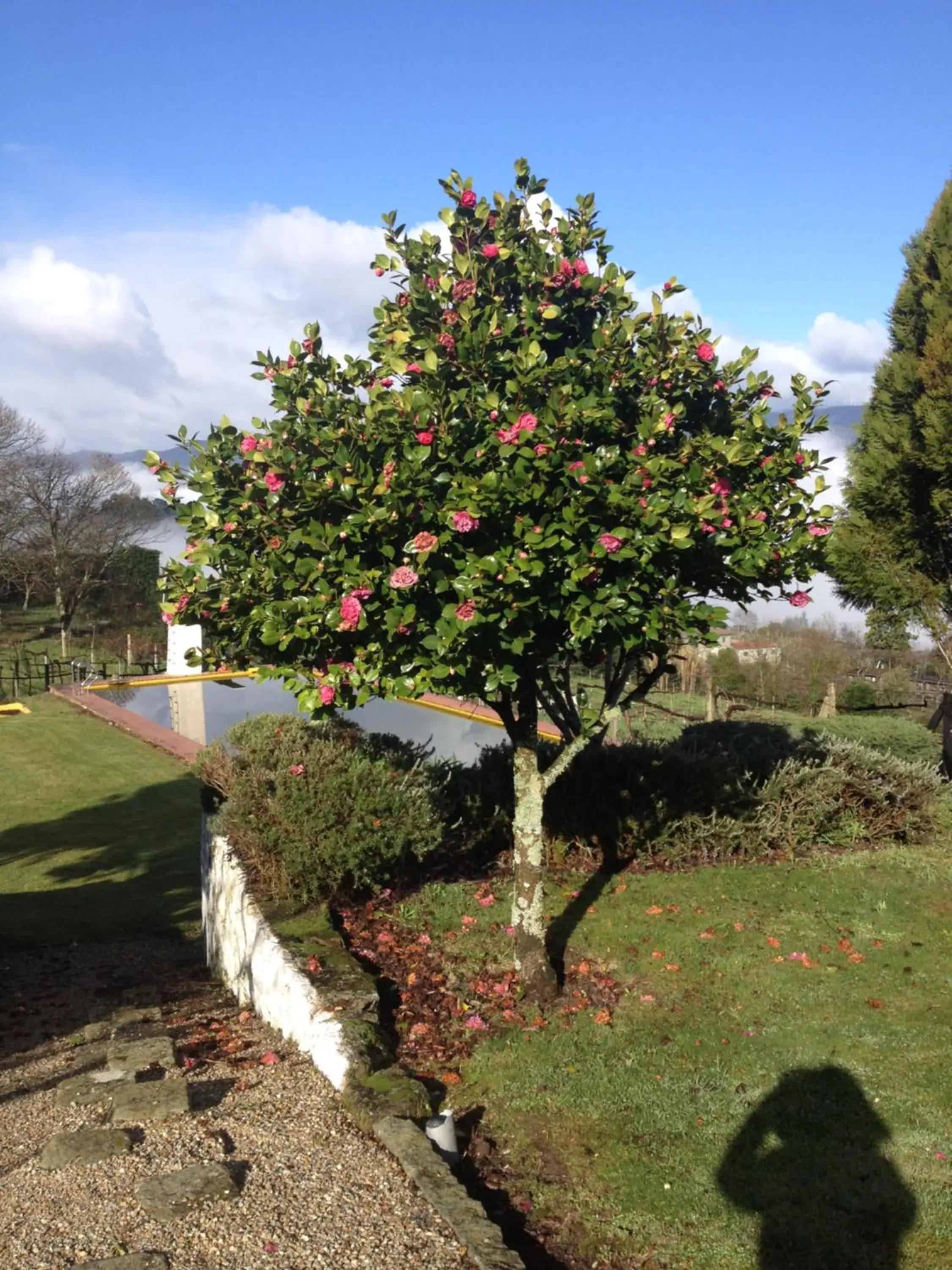 Swimming pool in Quinta da Calçada Swimming pool in Quinta da Calçada