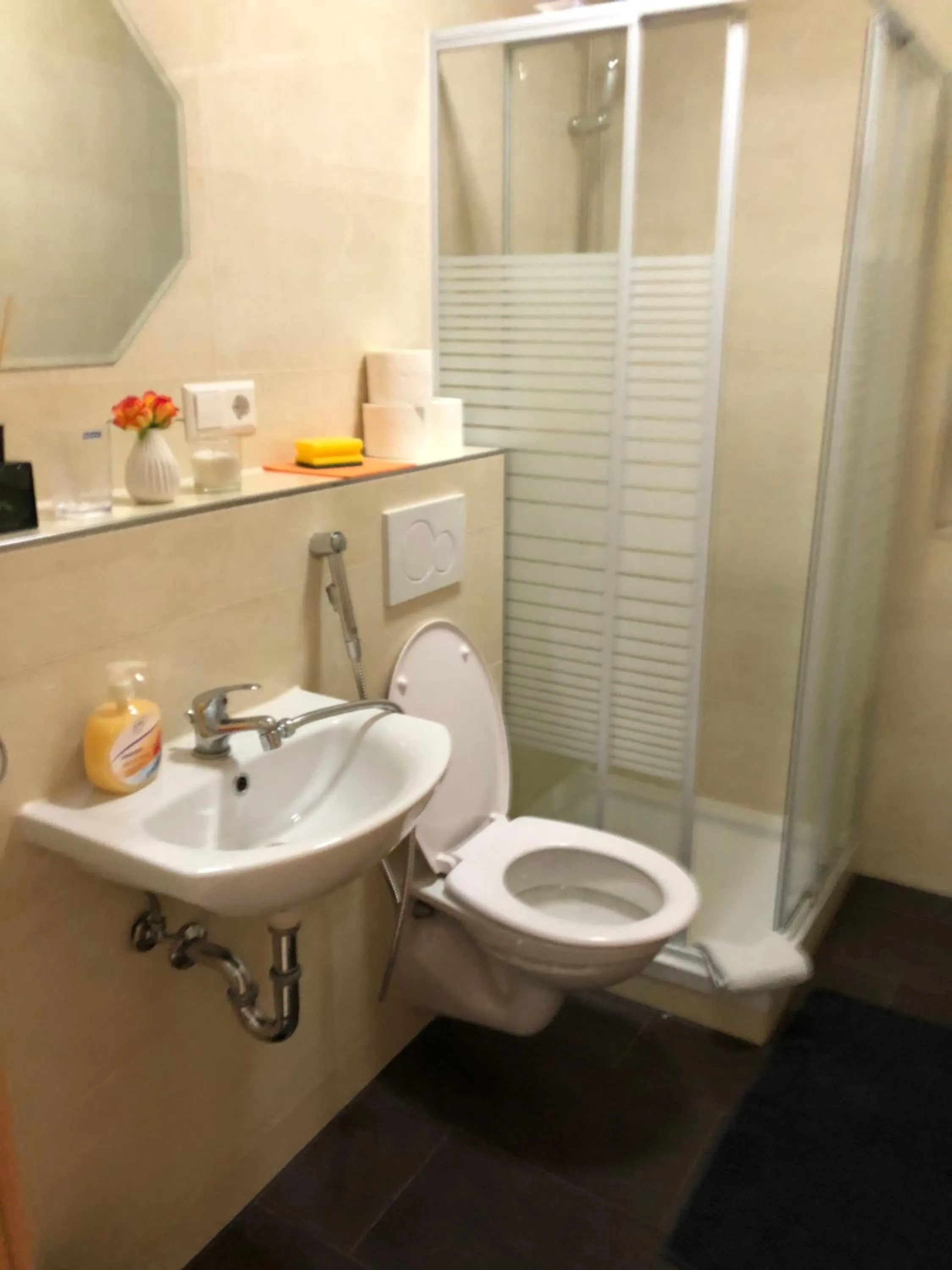 Shower in Sahara Falcon