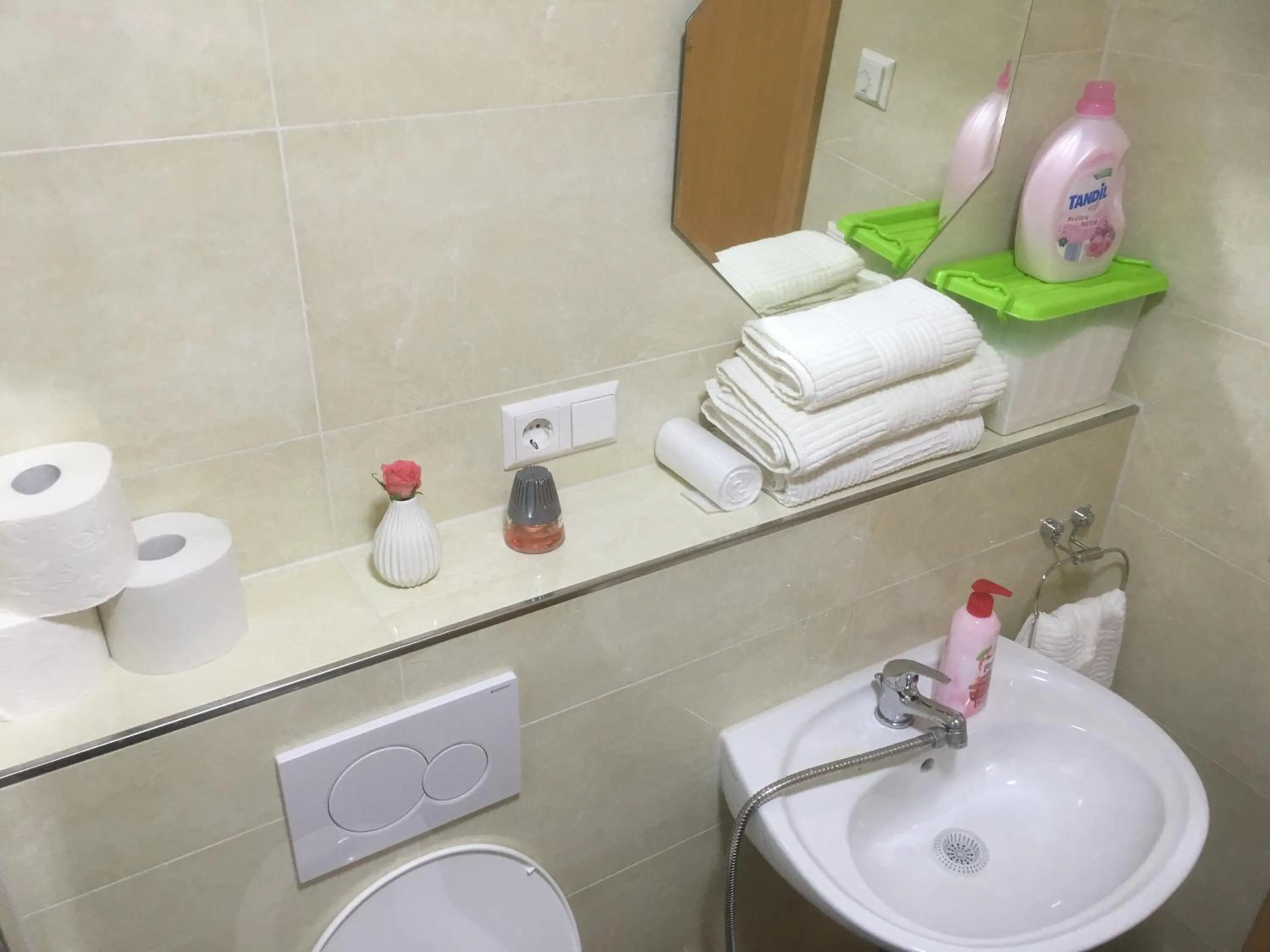 Bathroom in Sahara Falcon