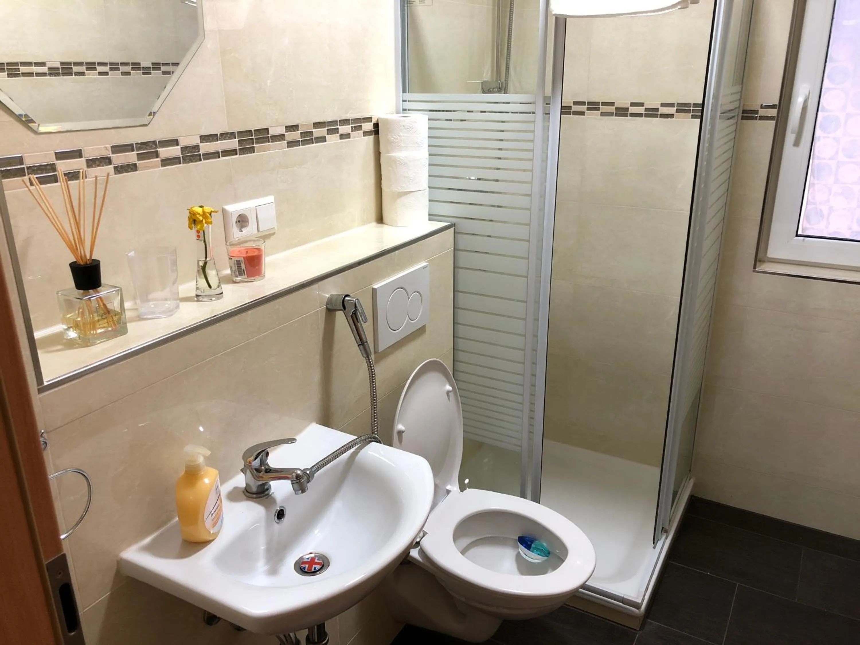 Shower in Sahara Falcon