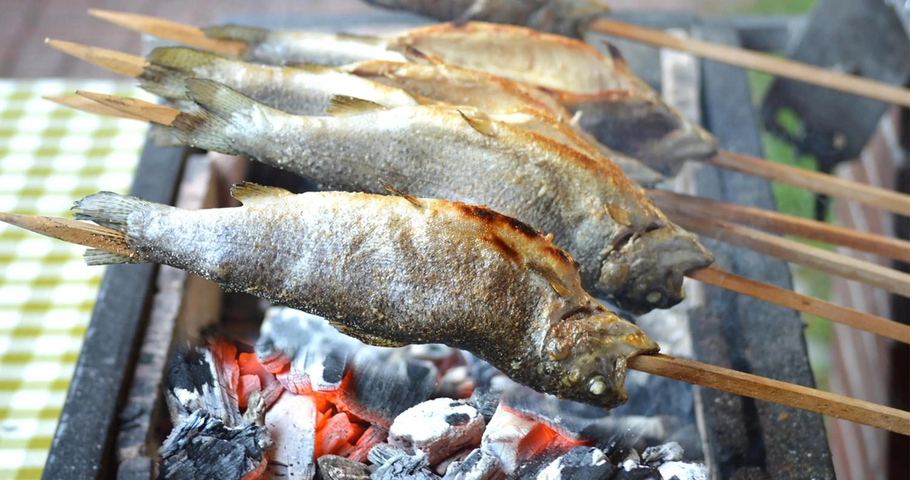 Restaurant/places to eat in Gasthof Hotel zur Post