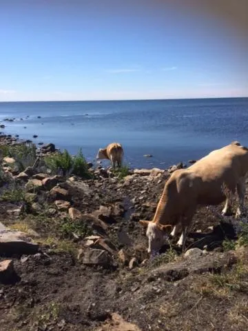 Hotell Turistgården i Simrishamn