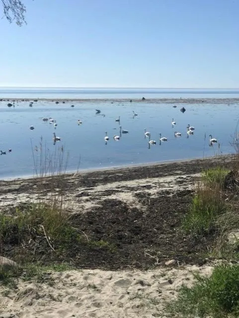 Natural landscape in Hotell Turistgården i Simrishamn