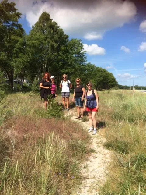 Activities in Hotell Turistgården i Simrishamn