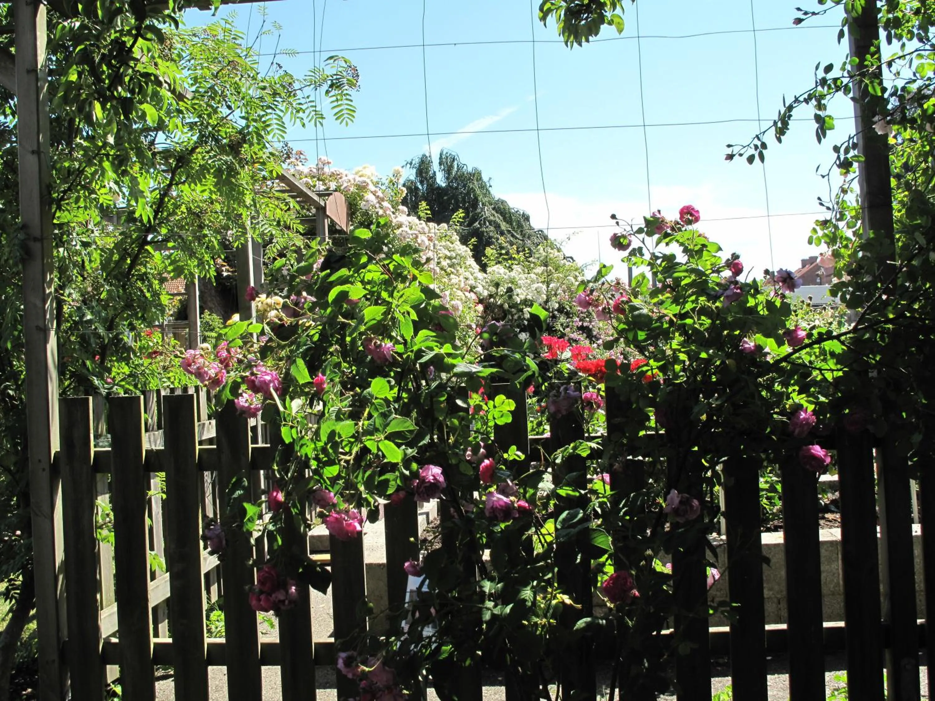 Day in Hotell Turistgården i Simrishamn