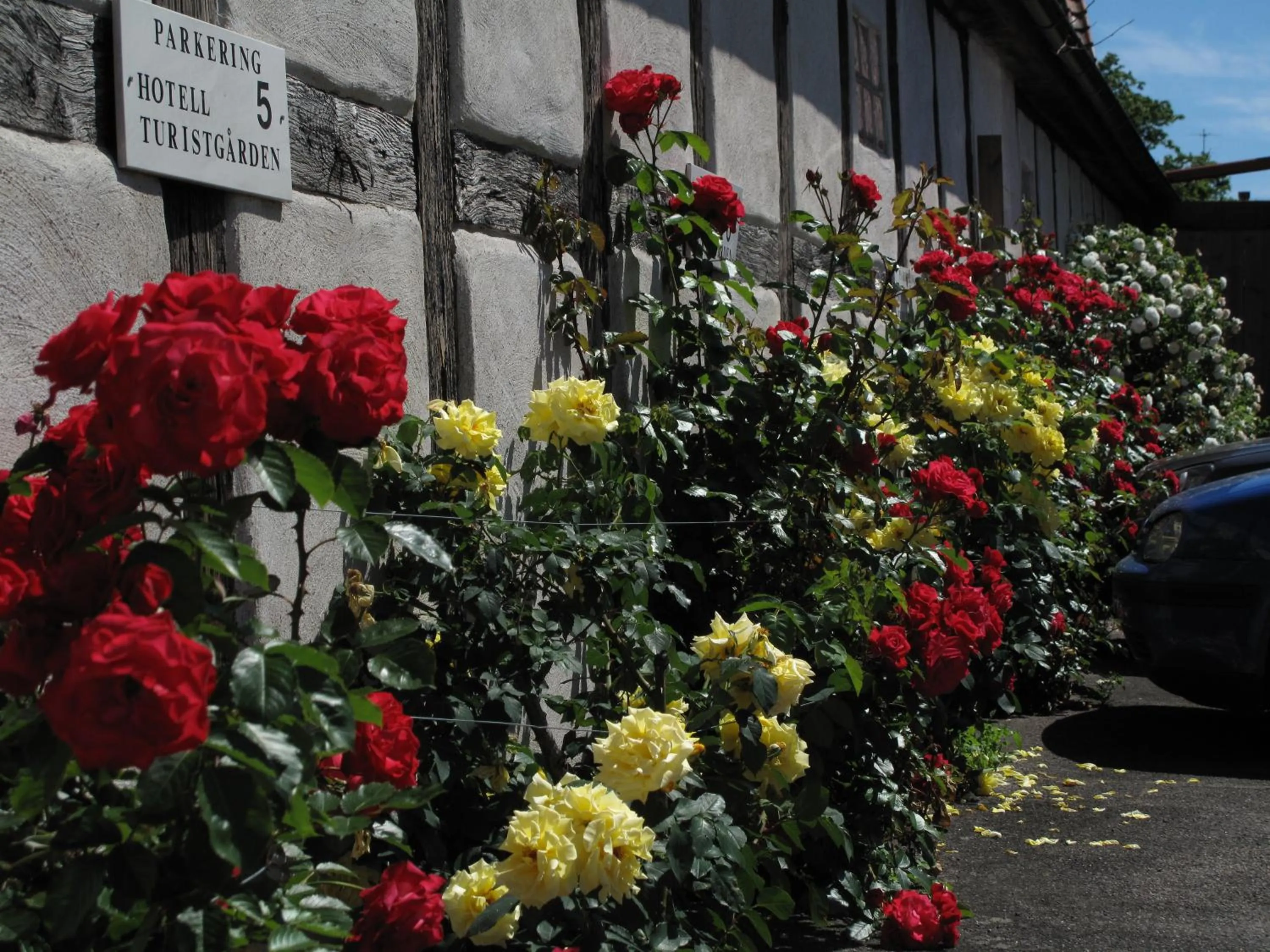 Day in Hotell Turistgården i Simrishamn