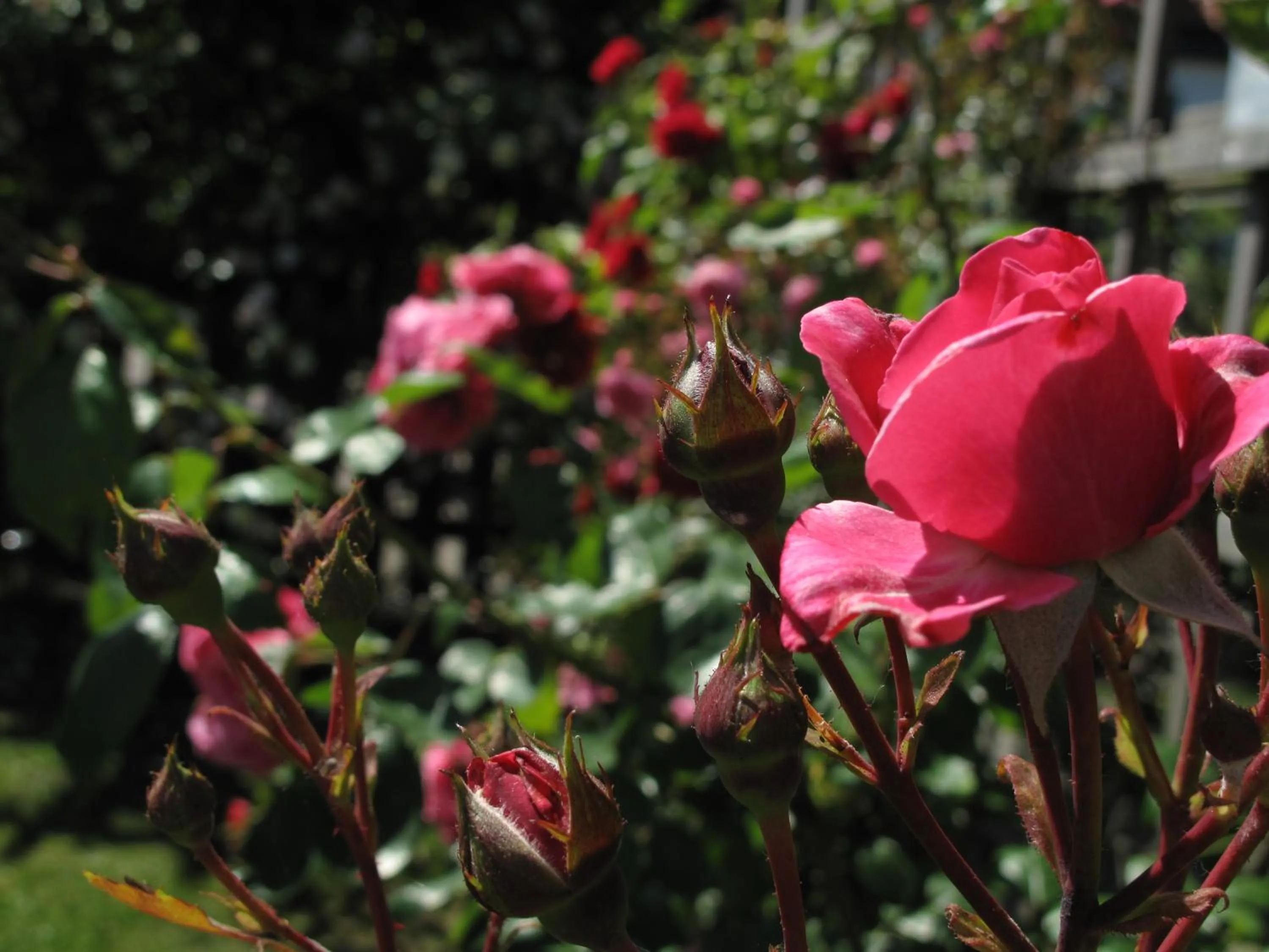 On site in Hotell Turistgården i Simrishamn