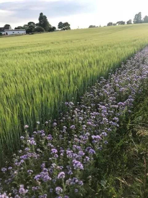 Hotell Turistgården i Simrishamn