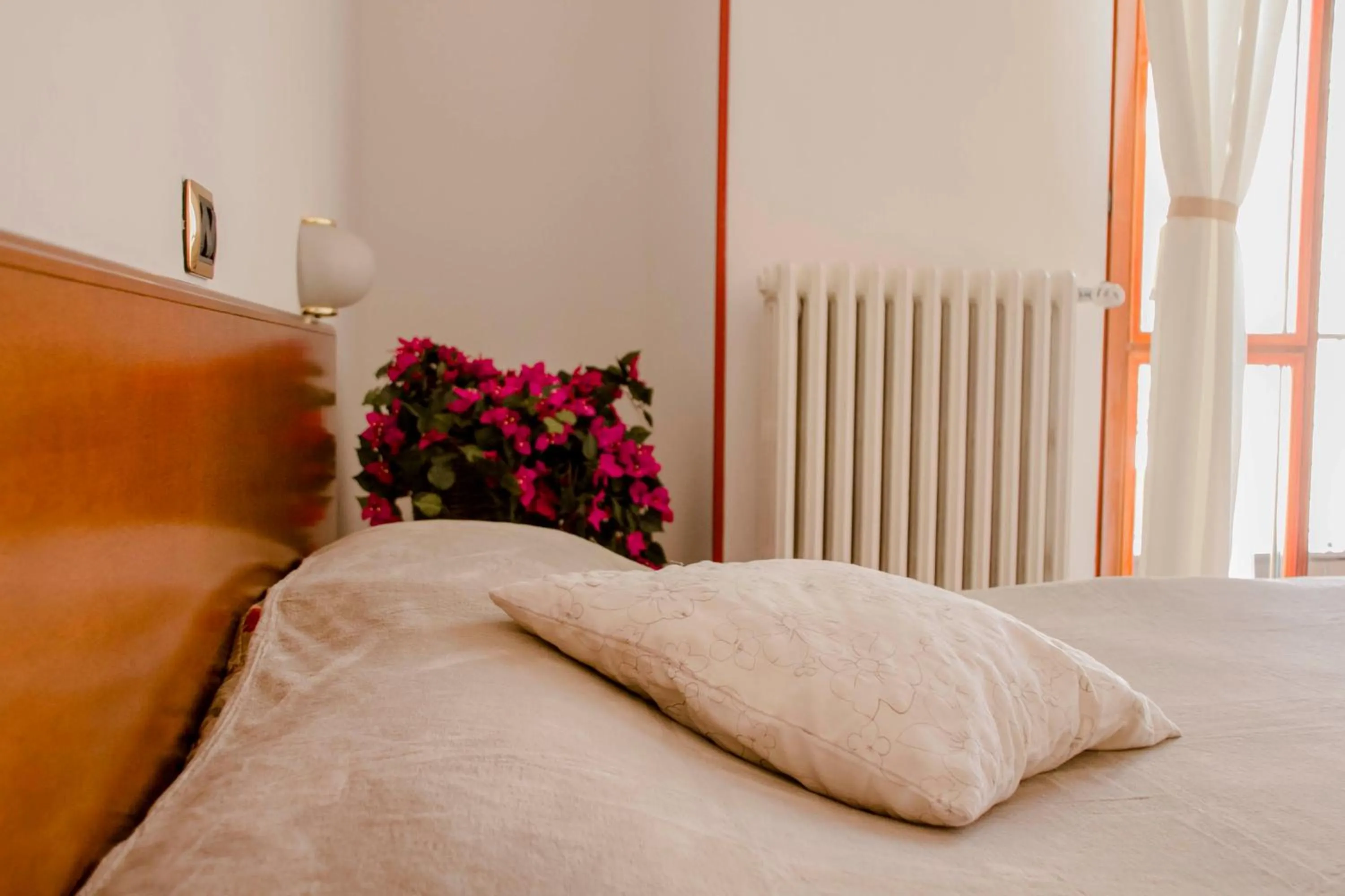 Decorative detail, Bed in Domus Hotel