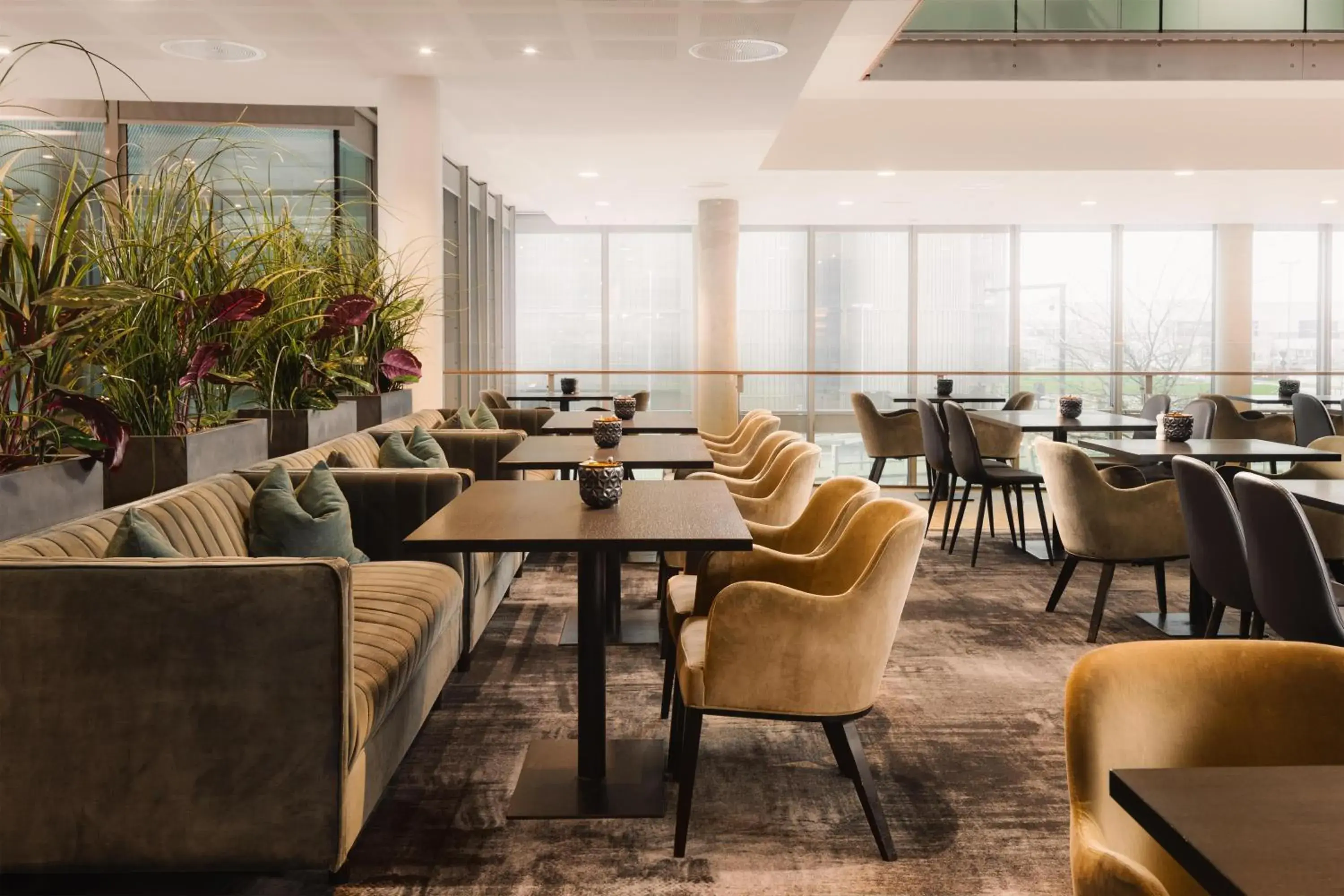 Restaurant/places to eat in Scandic Stavanger Airport Restaurant/places to eat in Scandic Stavanger Airport