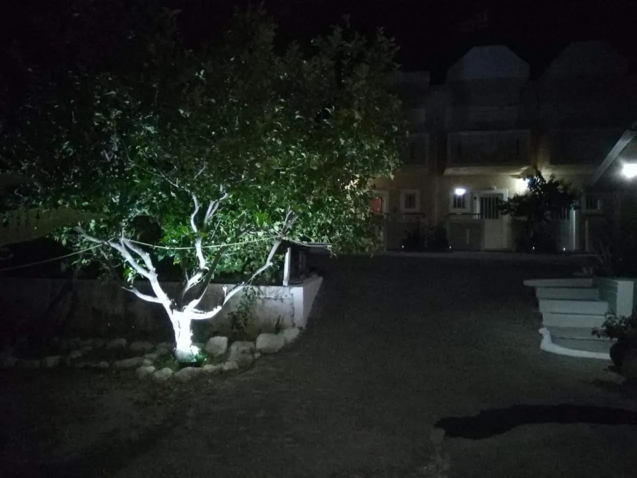 Denise Apartments Kefalos