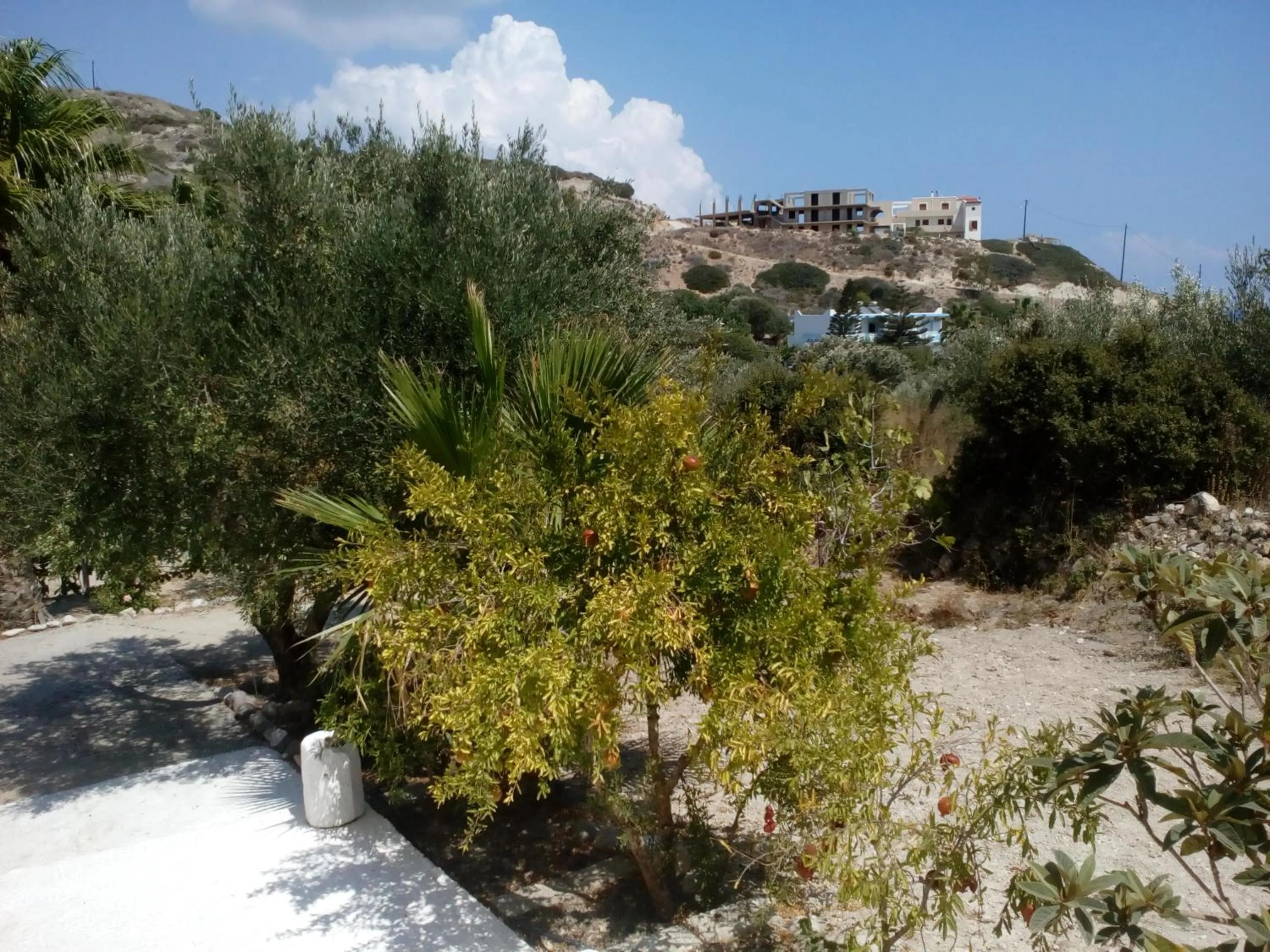 Denise Apartments Kefalos