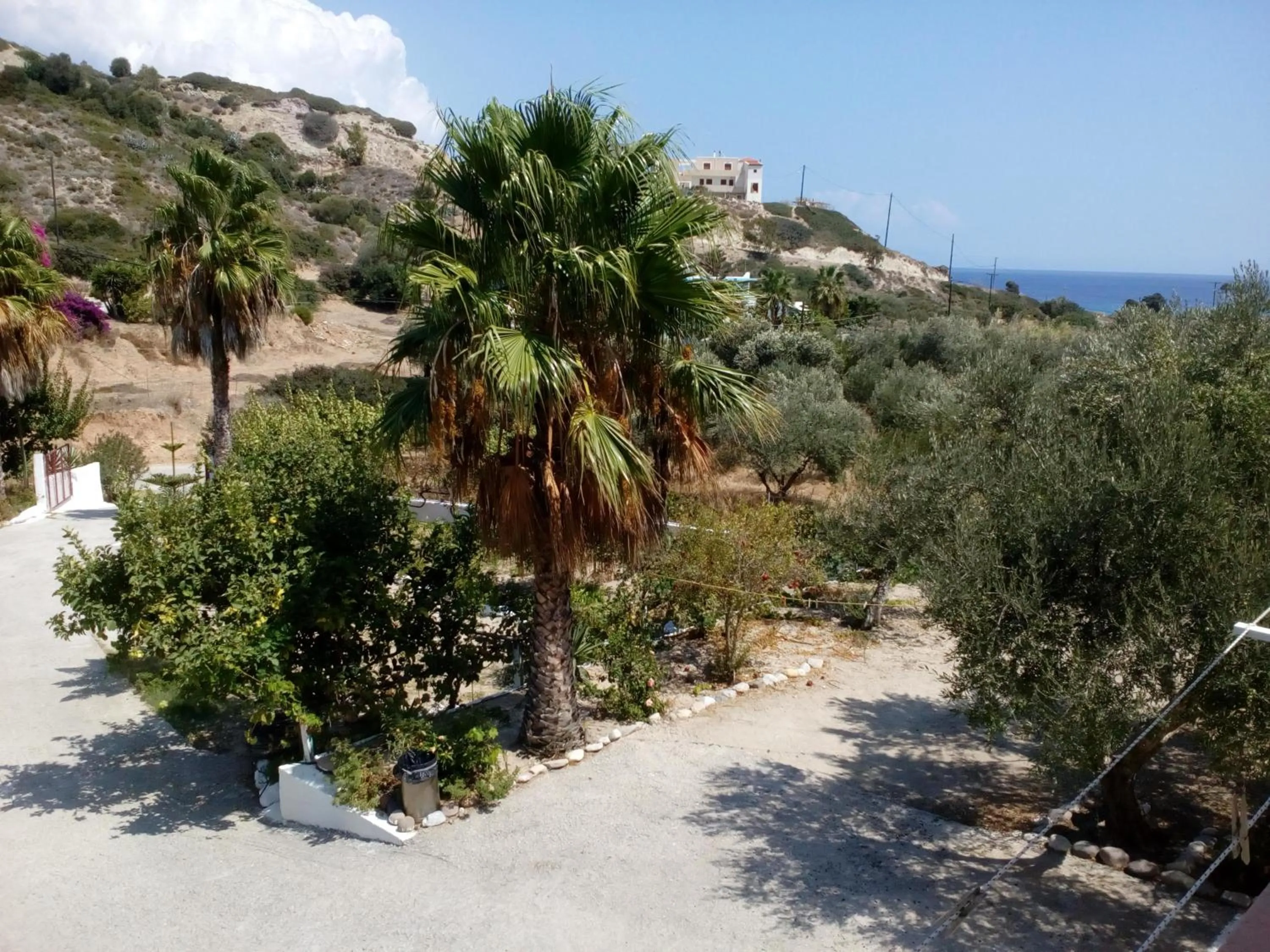 Denise Apartments Kefalos