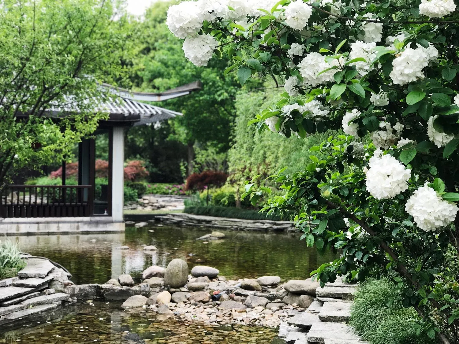 Garden in Suzhou Marriott Hotel