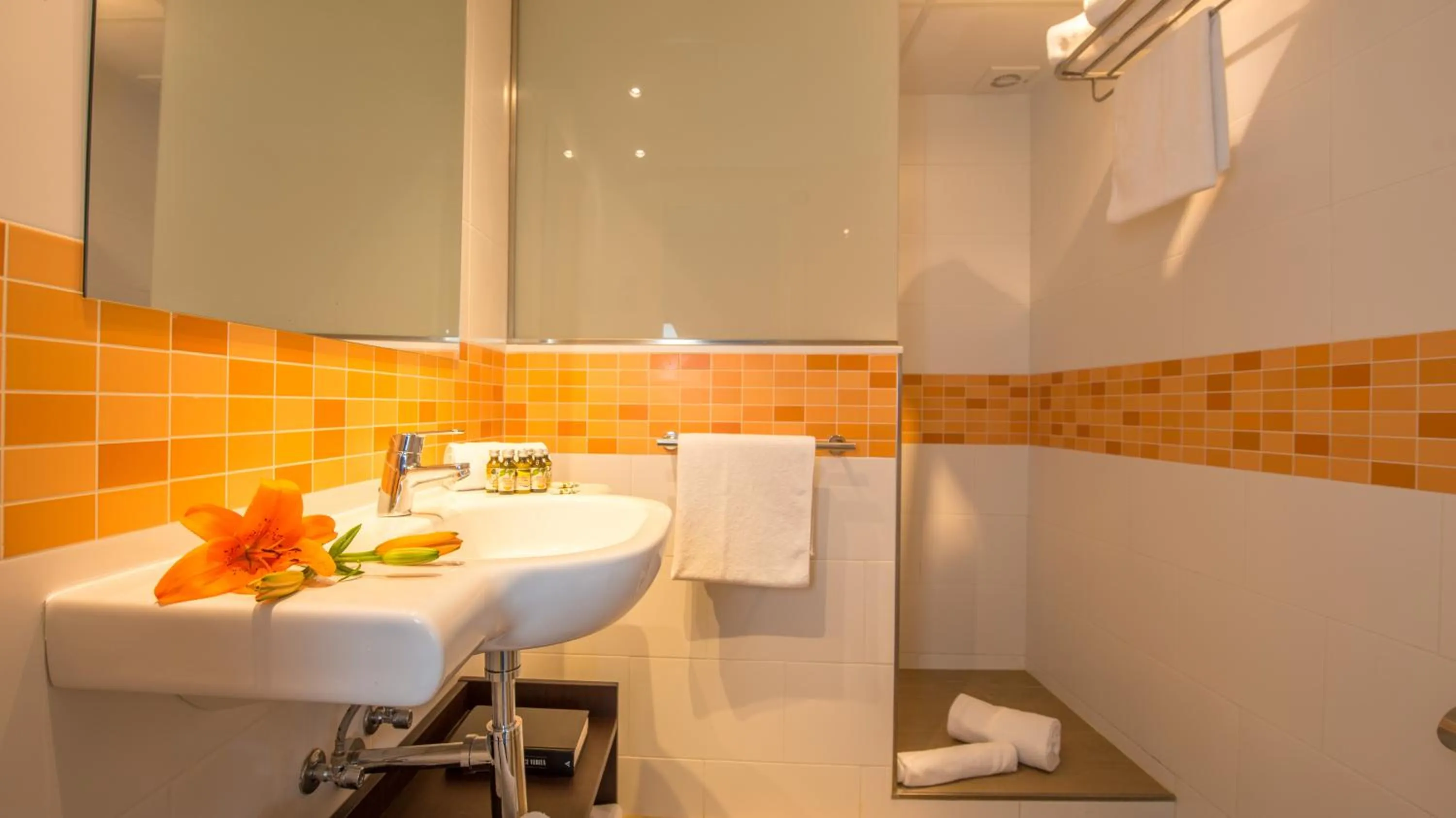 Toilet in Aparthotel Ona Aucanada