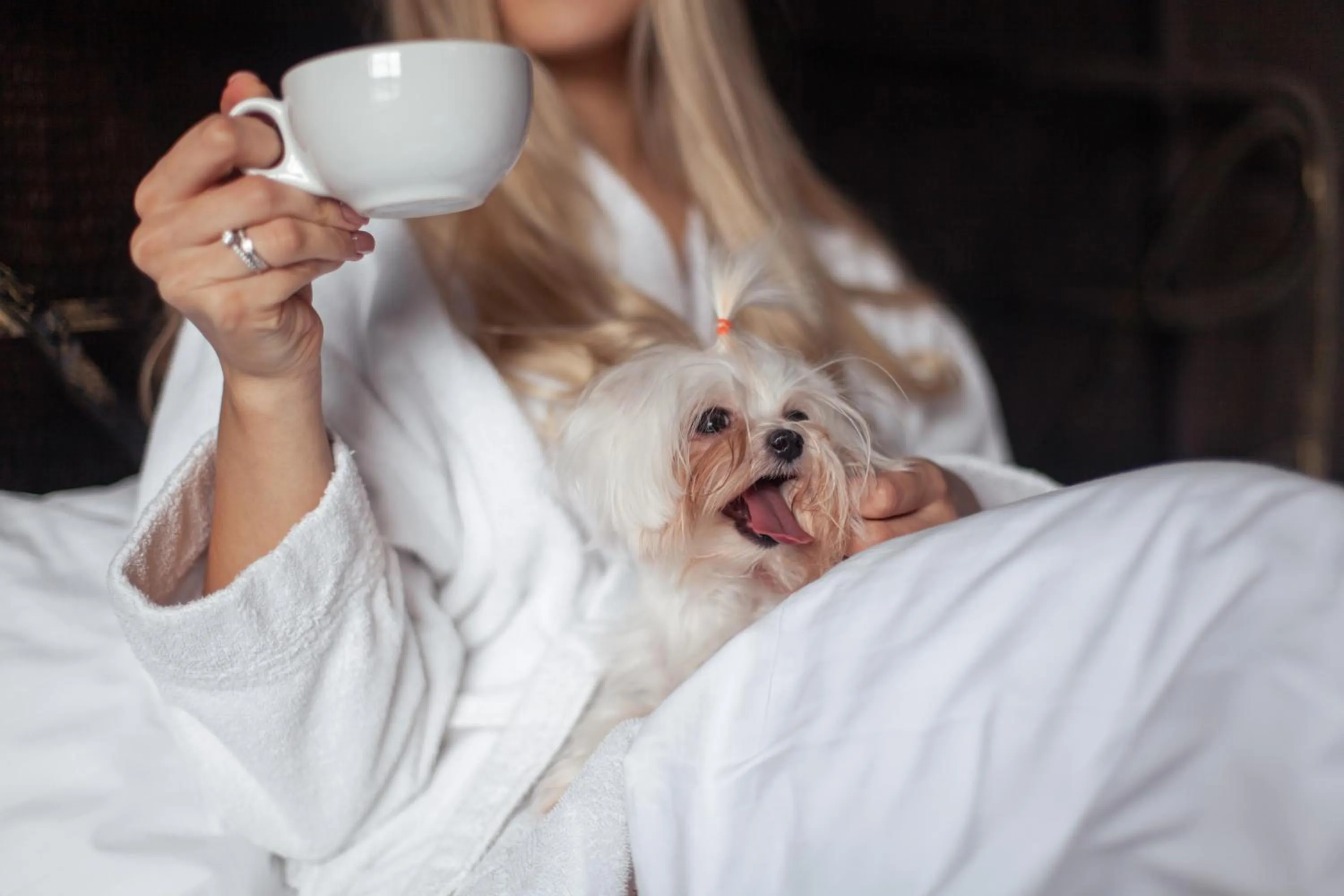 People in Bakkara Hotel