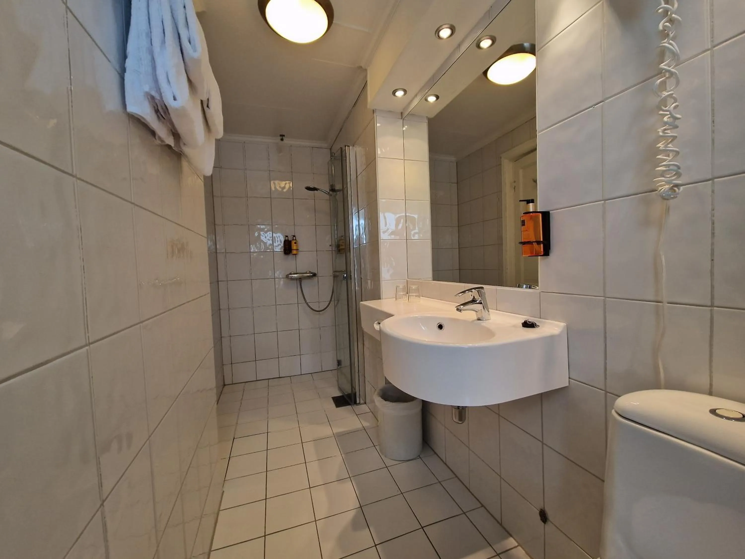 Shower in Dr. Holms Hotel