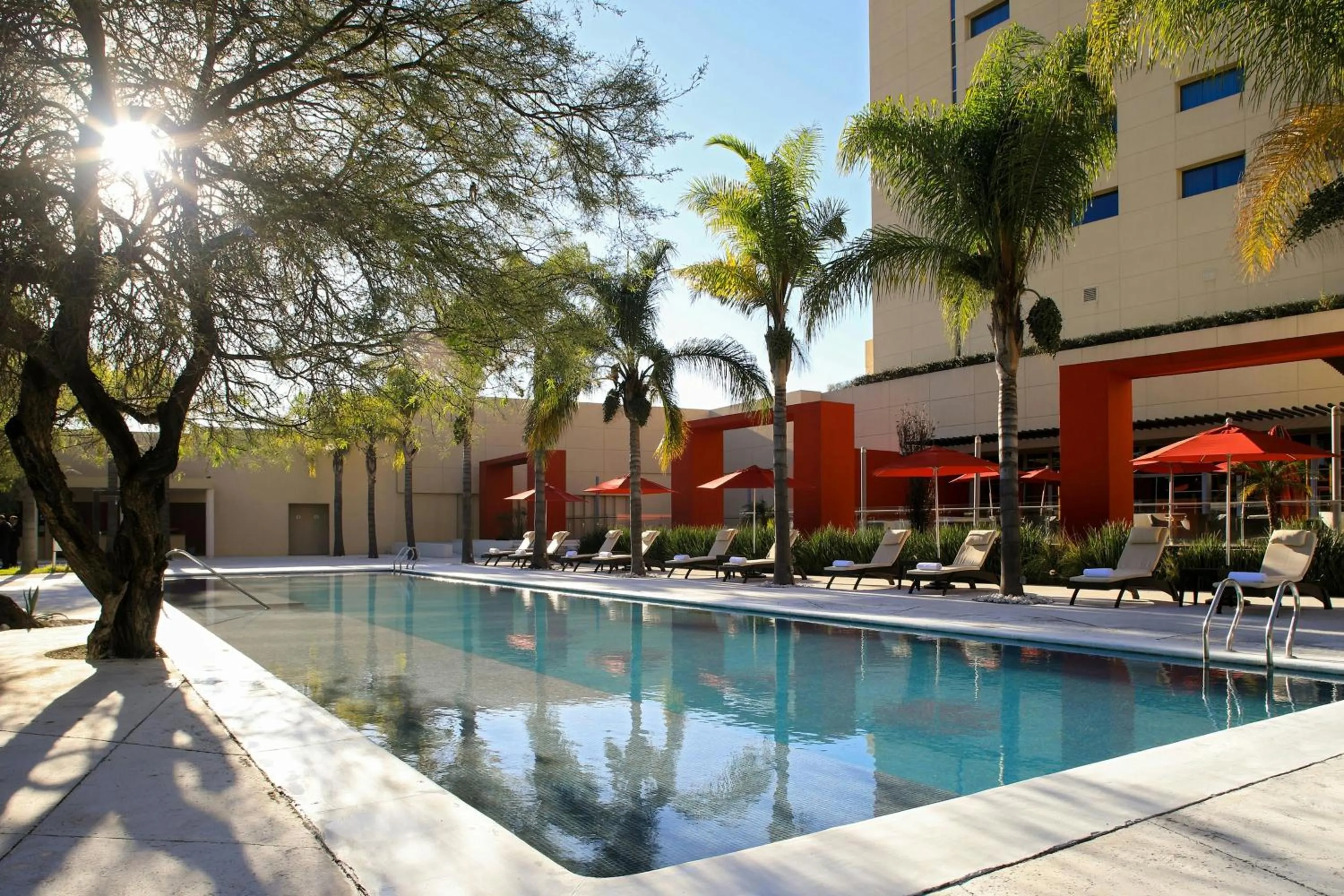 Swimming pool in Aguascalientes Marriott Hotel