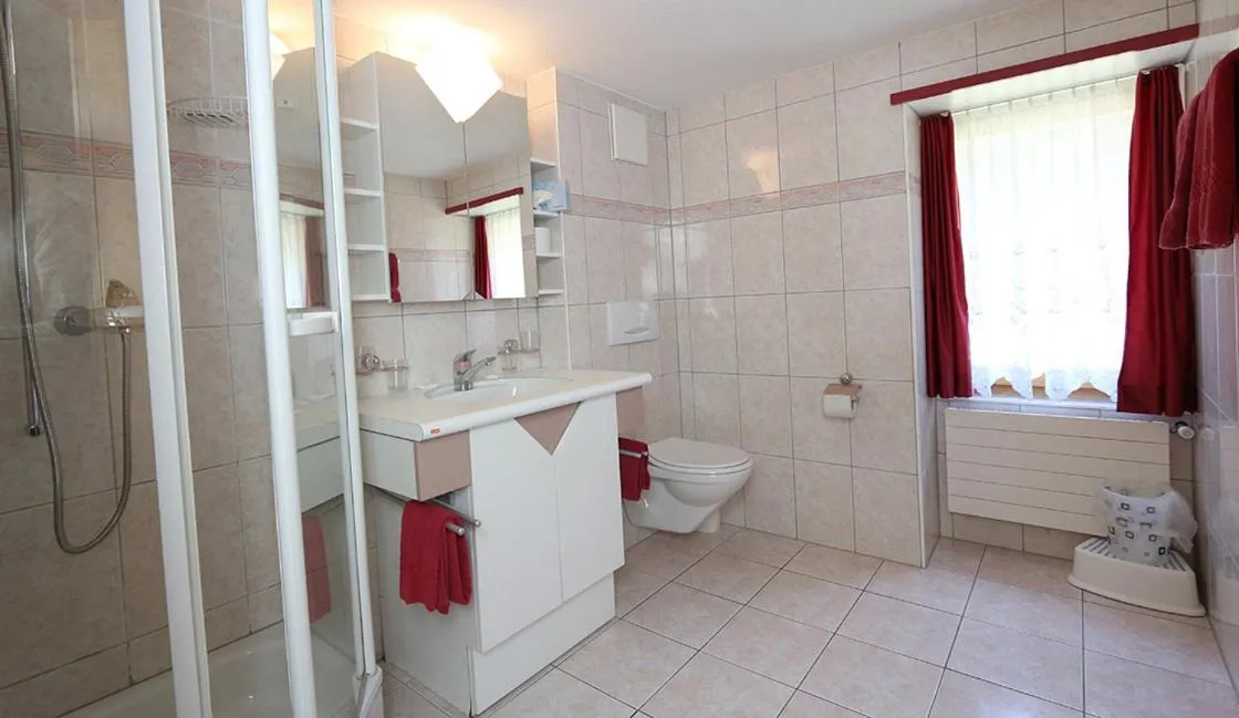 Shower in Hotel Alpina