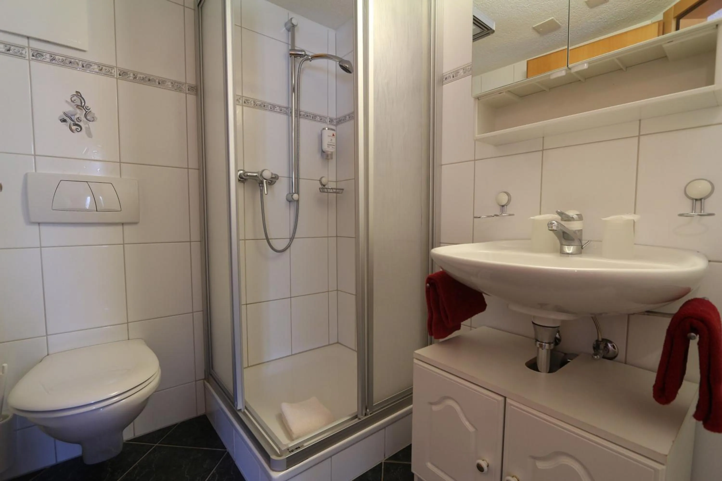 Bathroom in Hotel Alpina