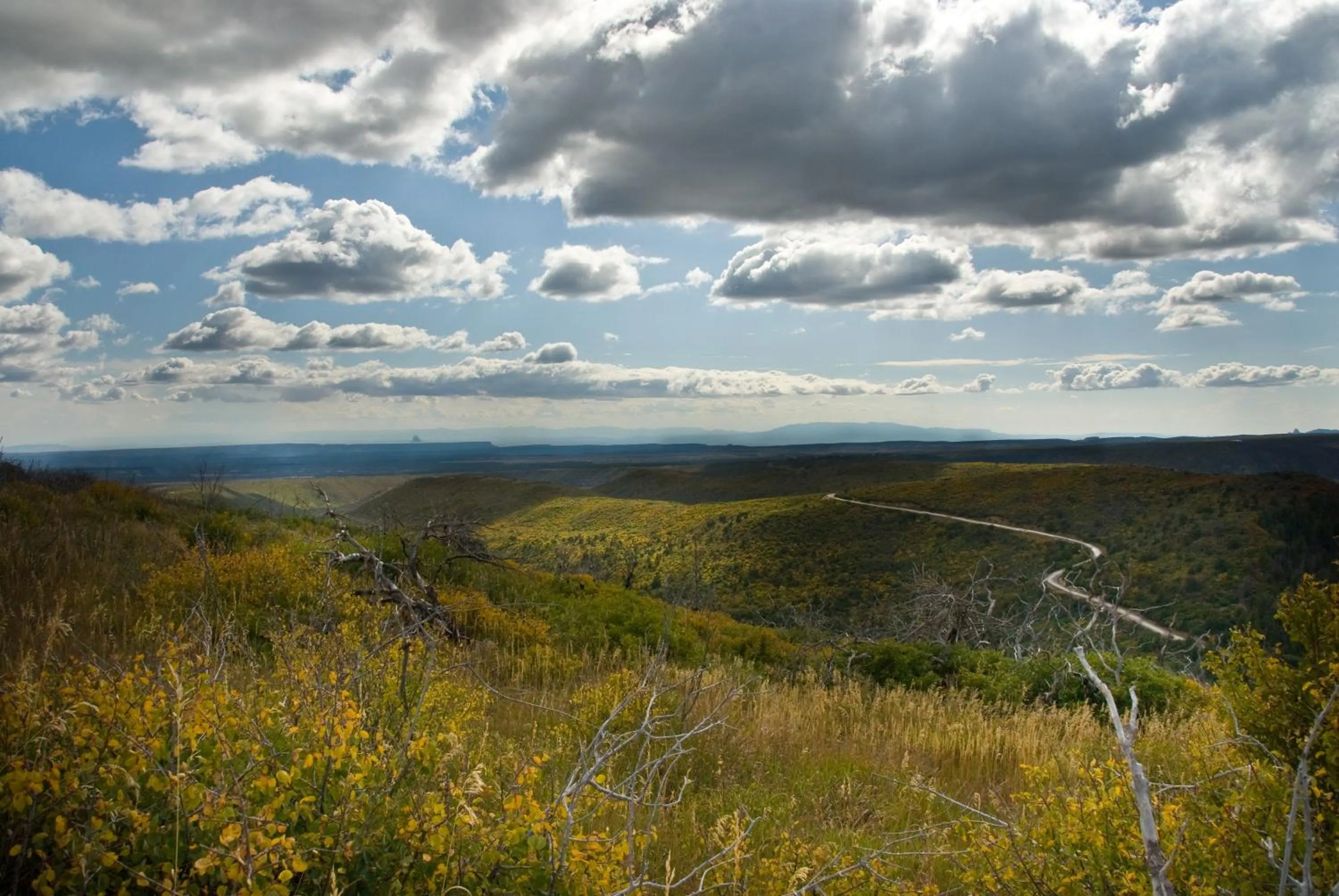 On site in Far View Lodge