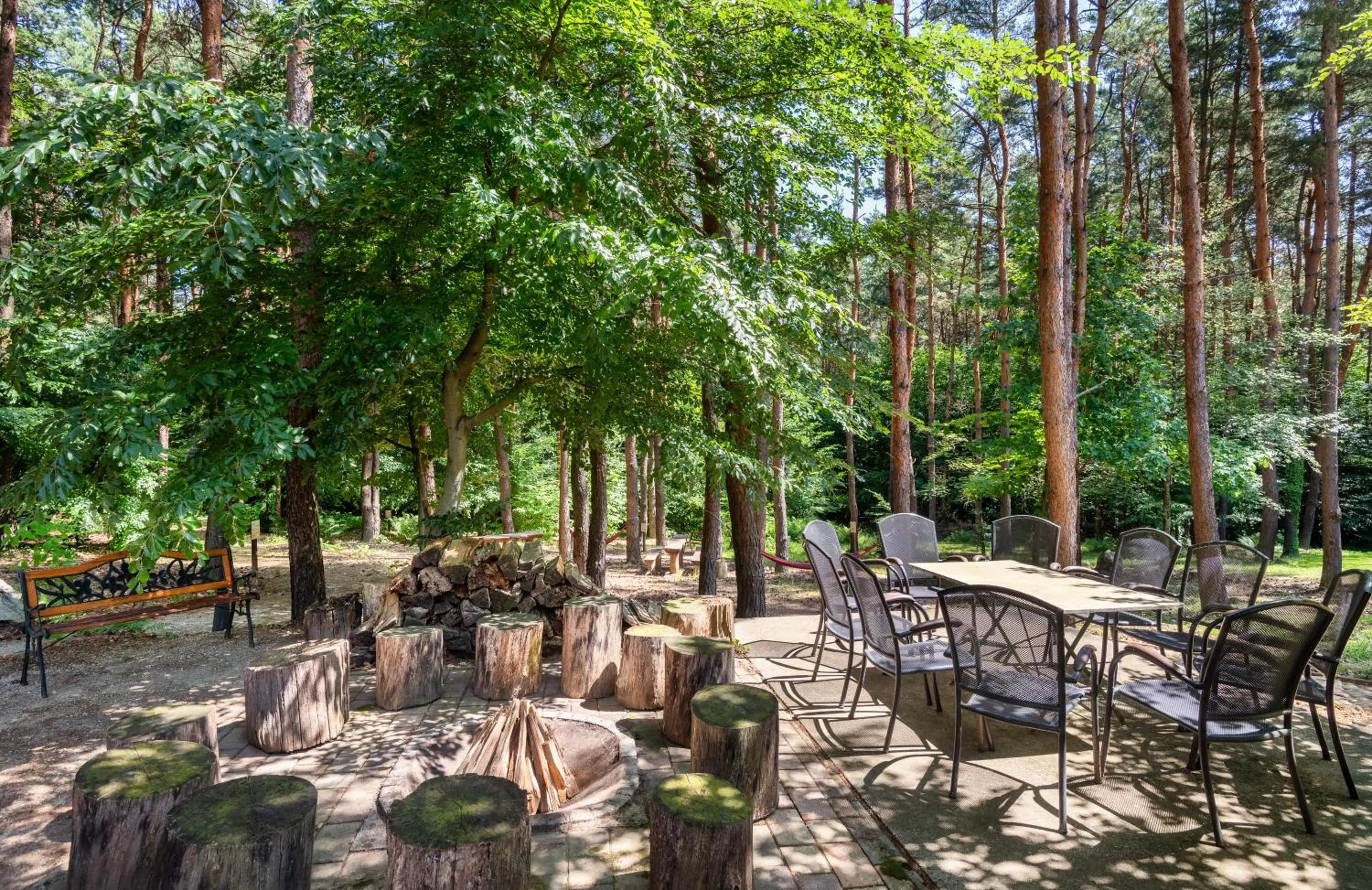 Natural landscape in Gosztola Gyöngye-az erdő szállodája